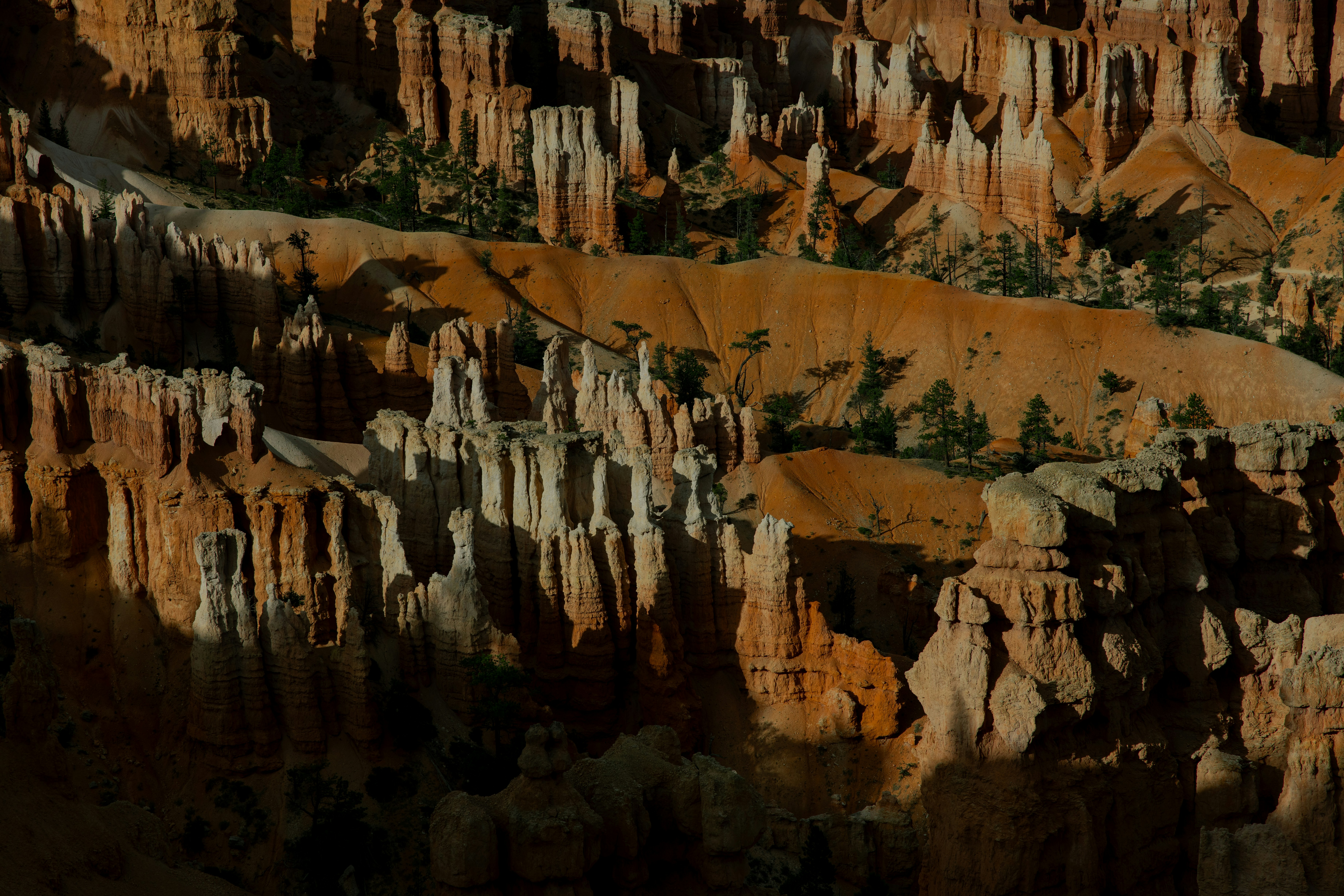 Close-up of a textured, abstract pattern with warm colors