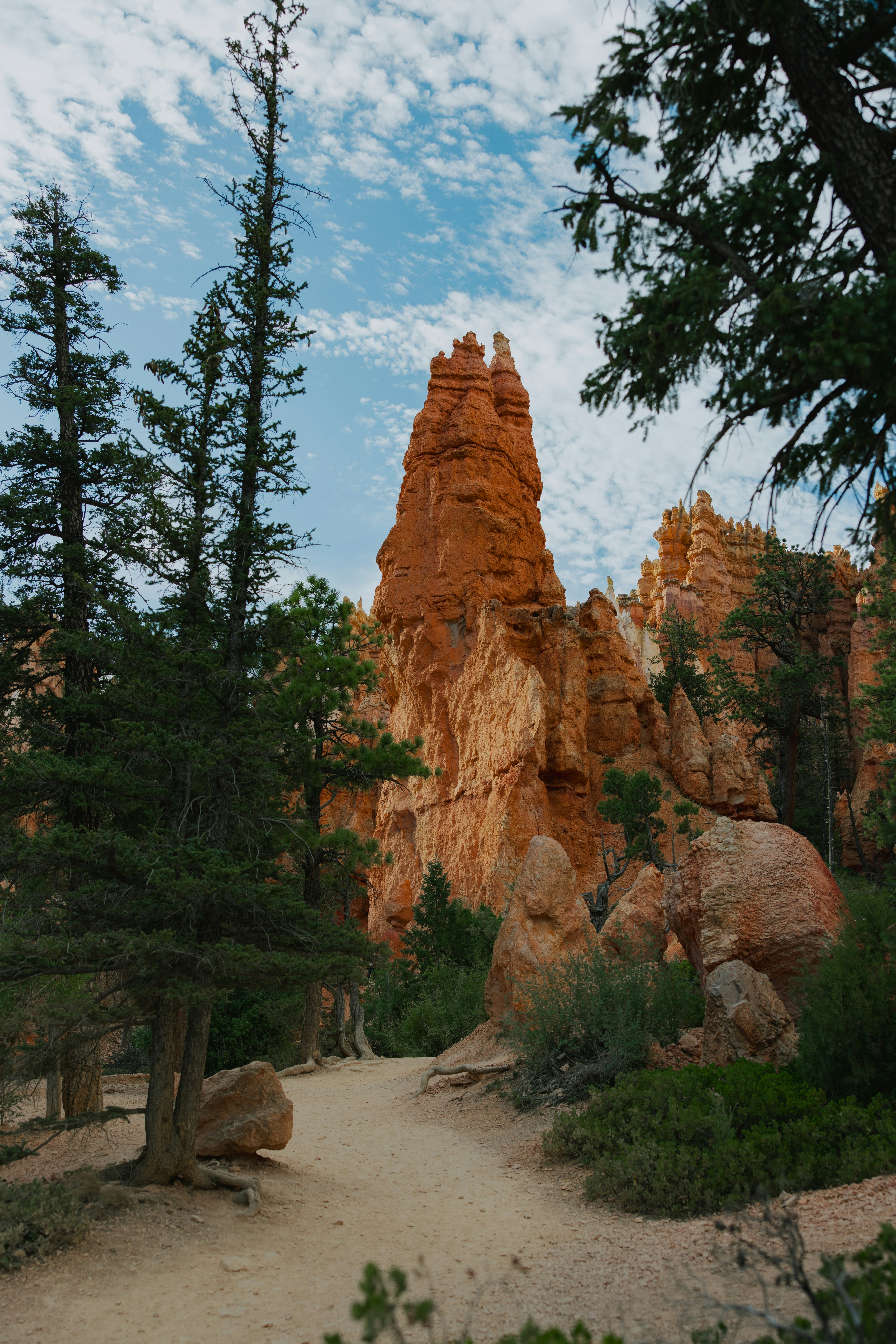 Tall sandstone hoodoo in a forest landscape