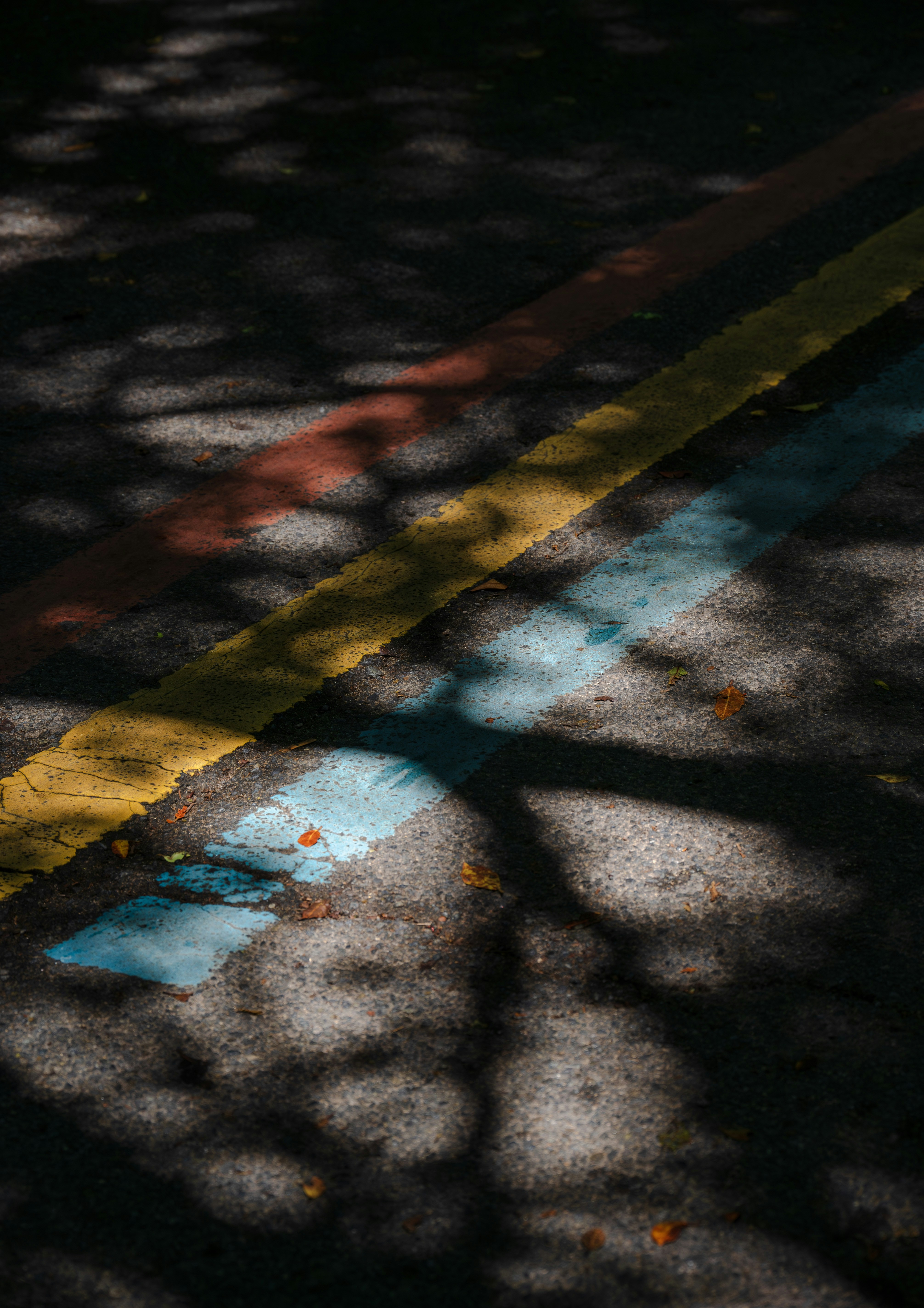 Photo by excellentcx