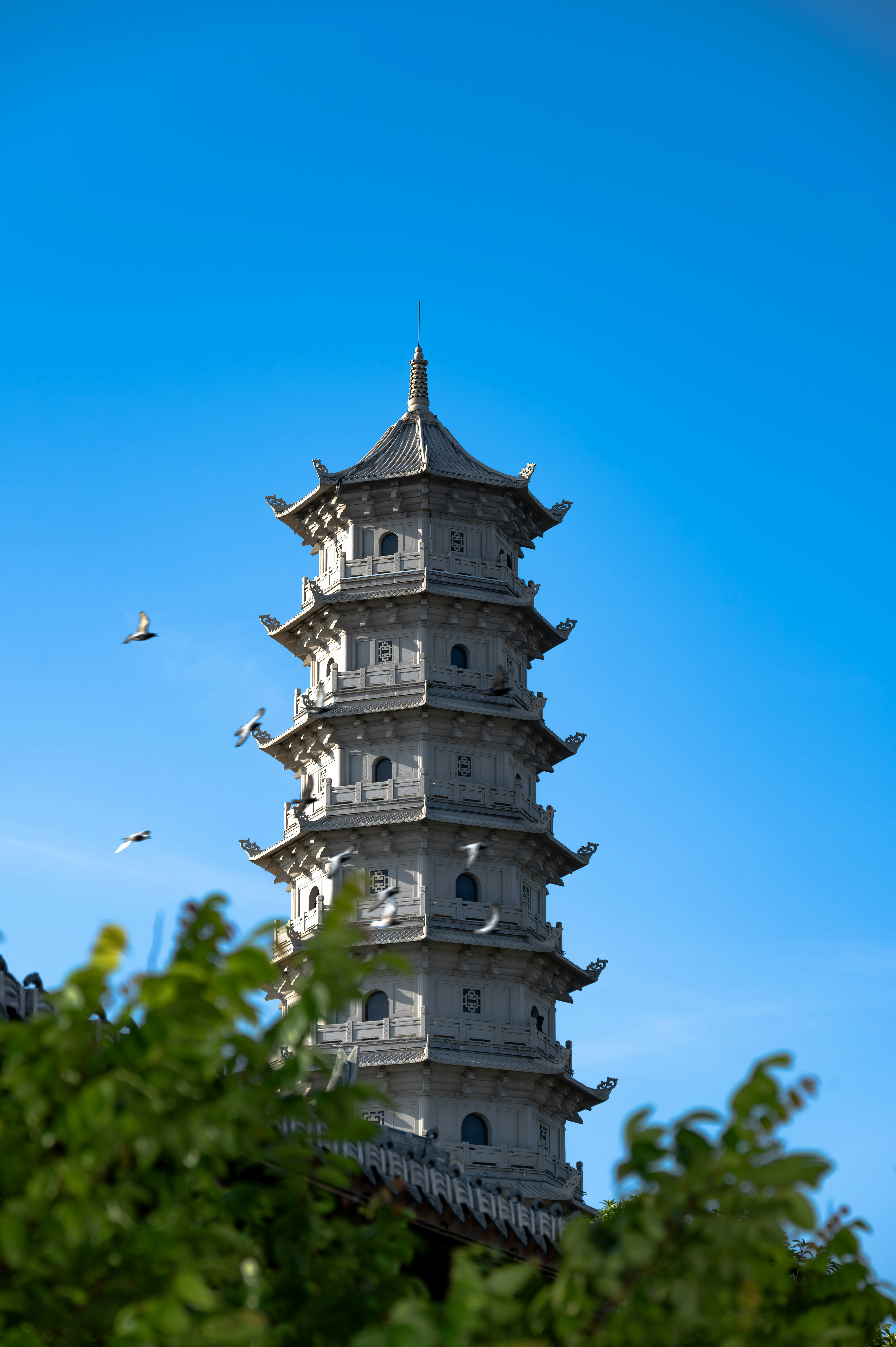 Photo by excellentcx