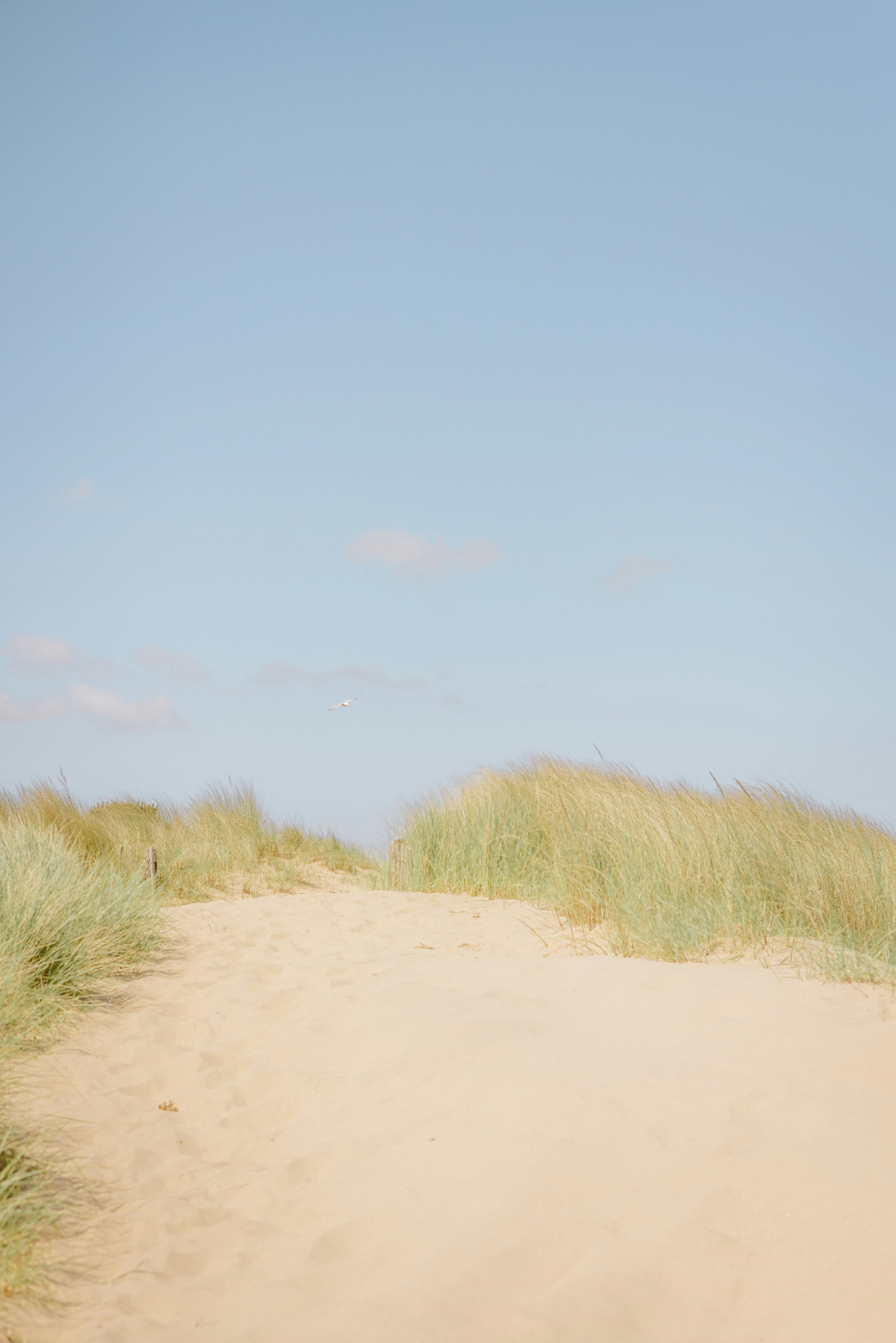 Photo by anniespratt