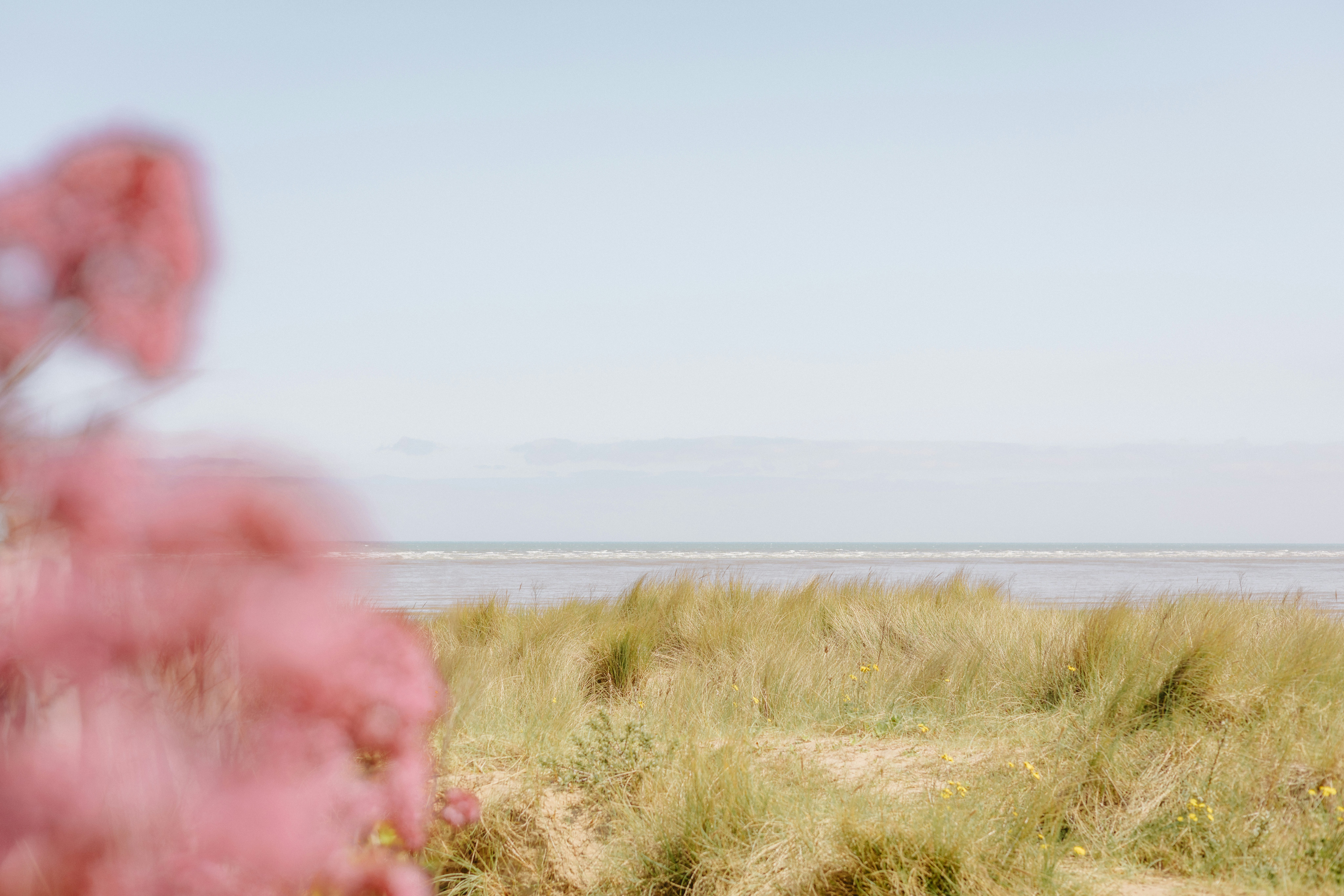 The Enigma Strengthens As You Find The Organized Actions Of A Professional Junk Removal Solution, Showcasing A Smooth Procedure That Values Even More Expedition