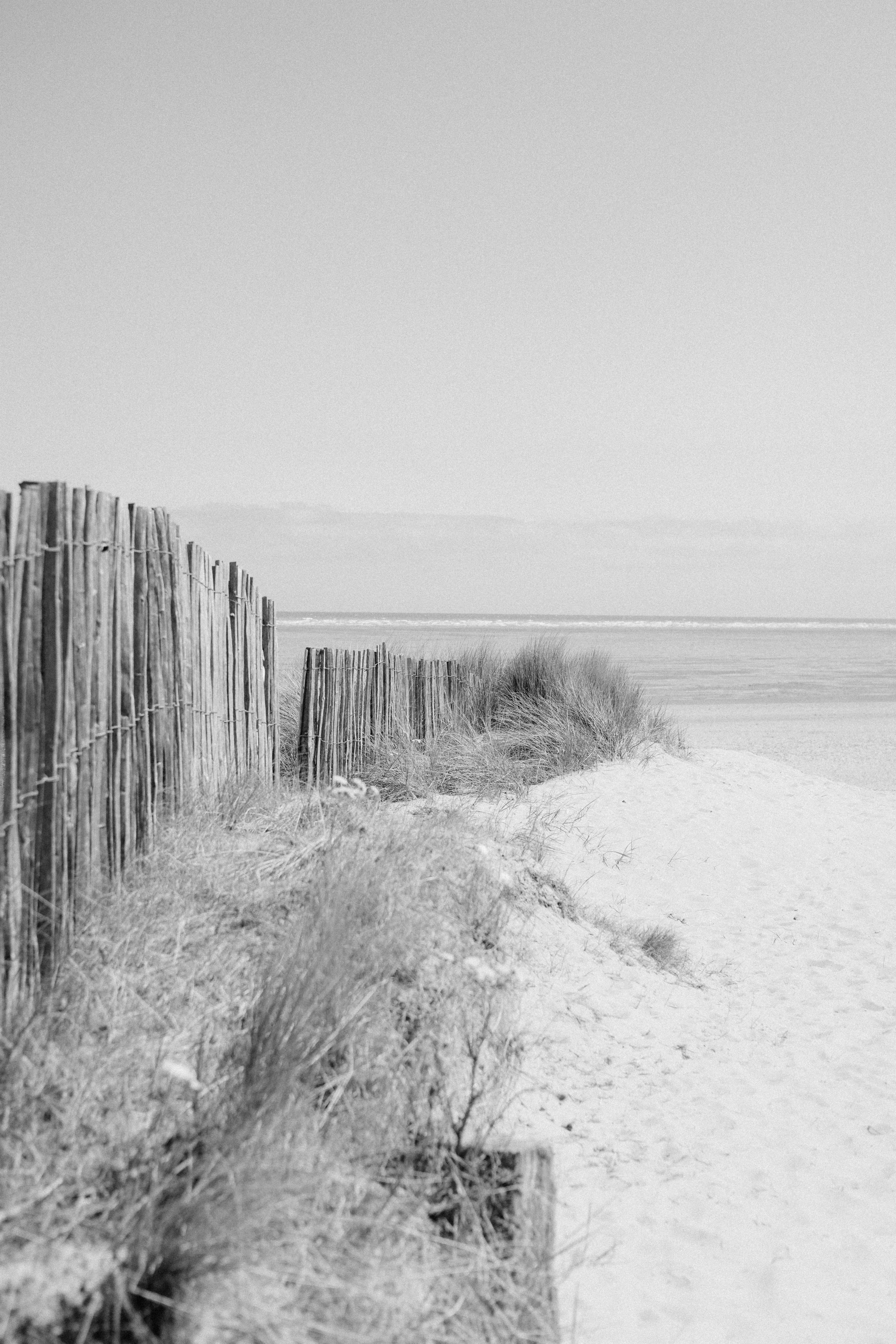 Photo by anniespratt