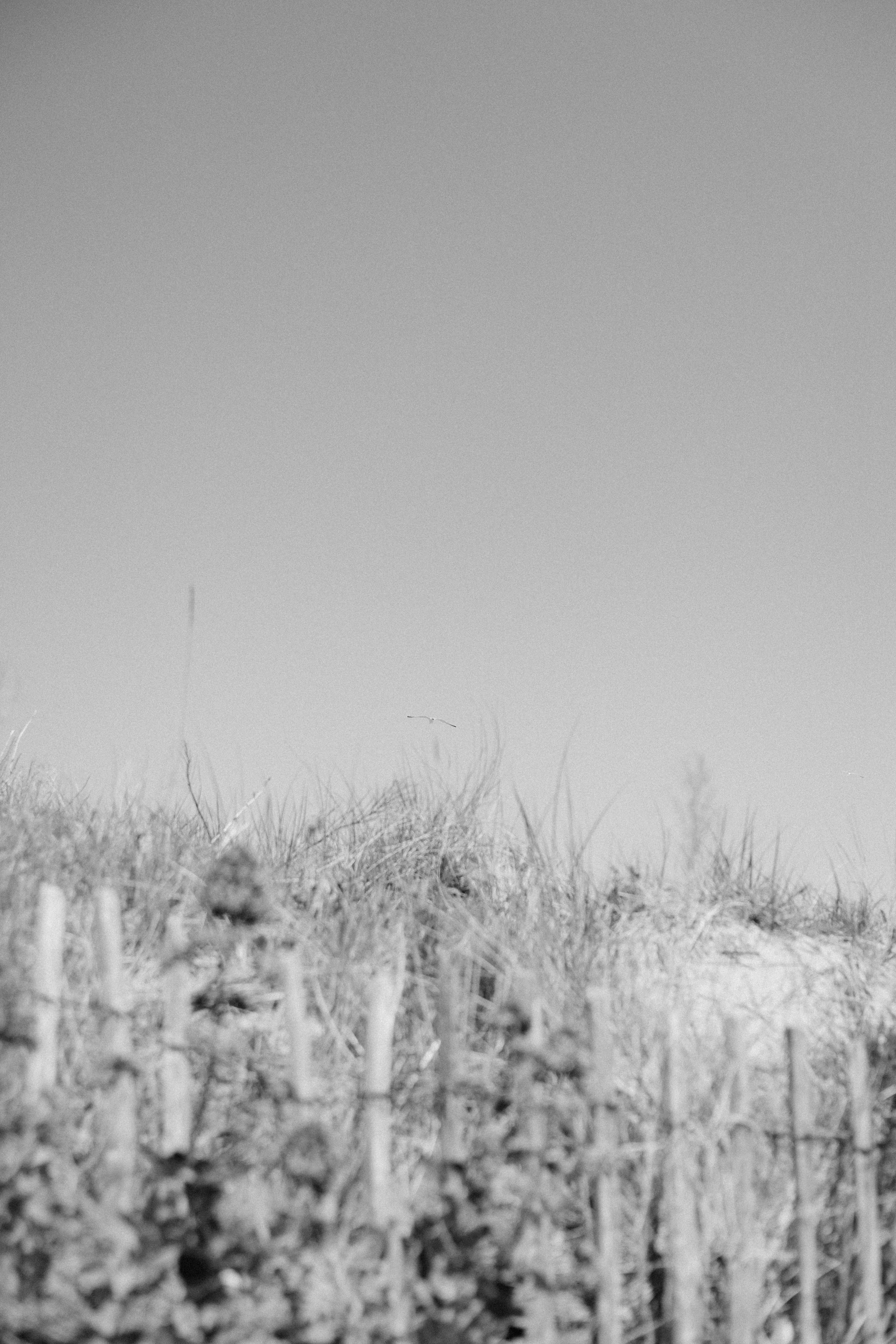 Photo by anniespratt