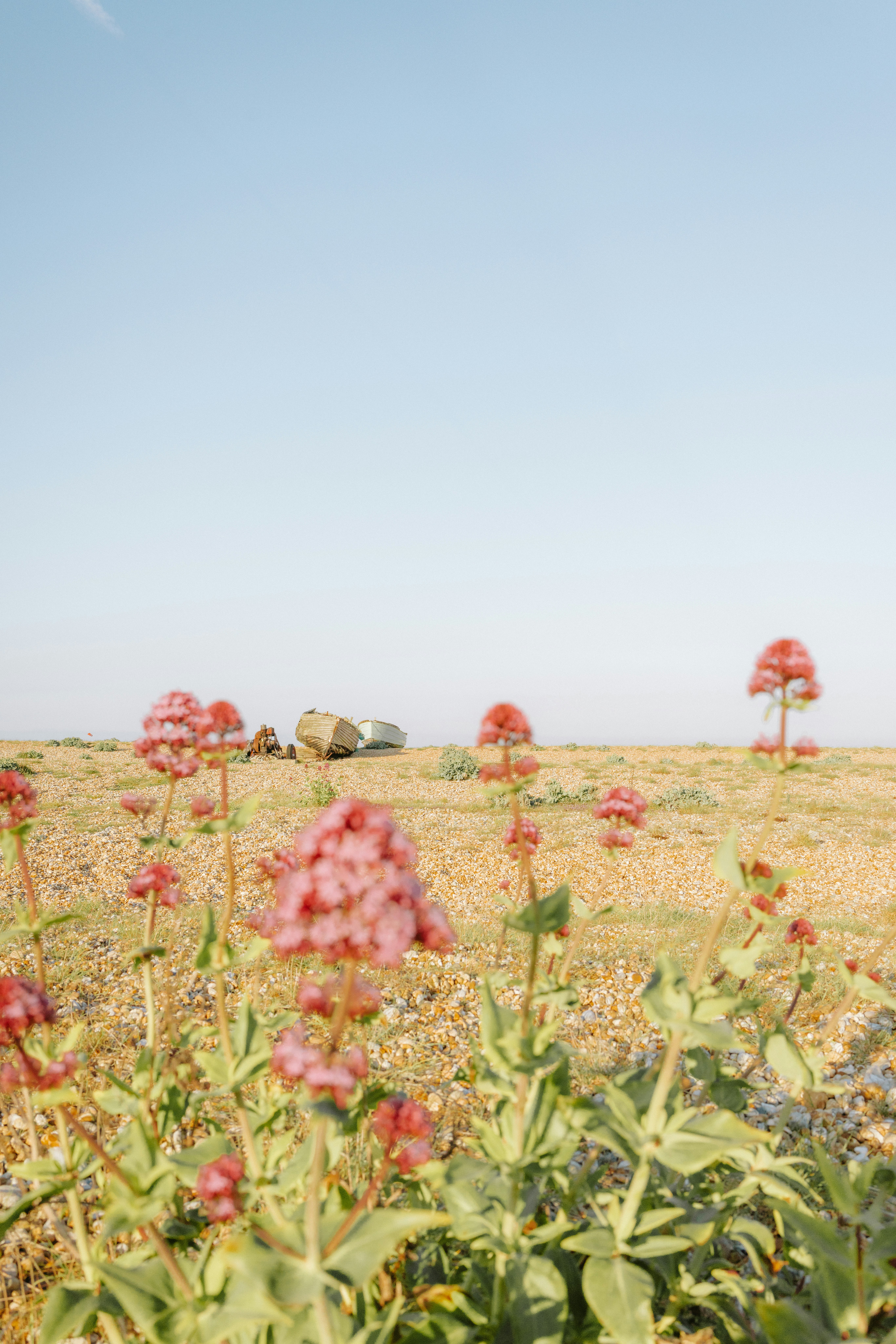 Photo by anniespratt