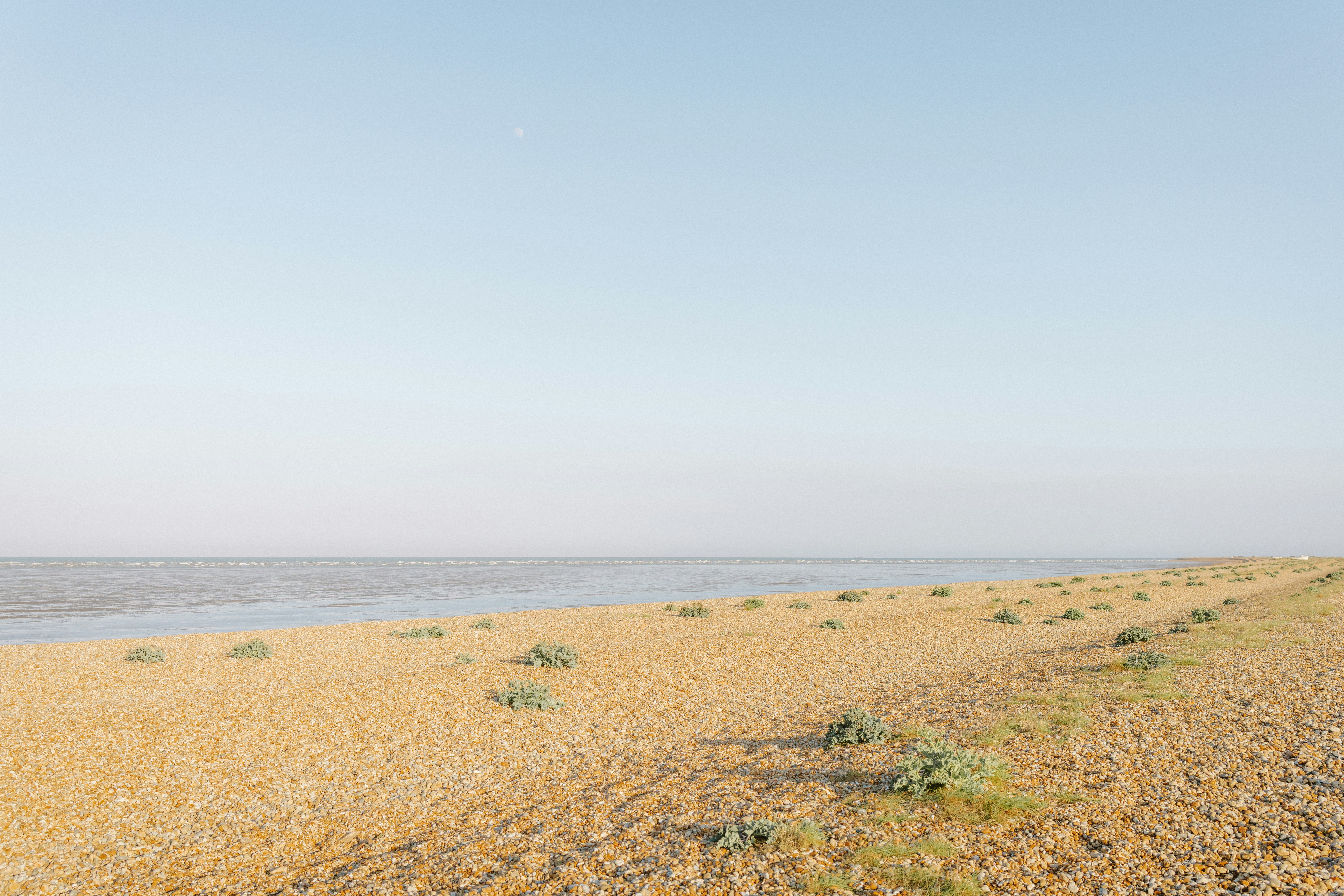 Photo by anniespratt