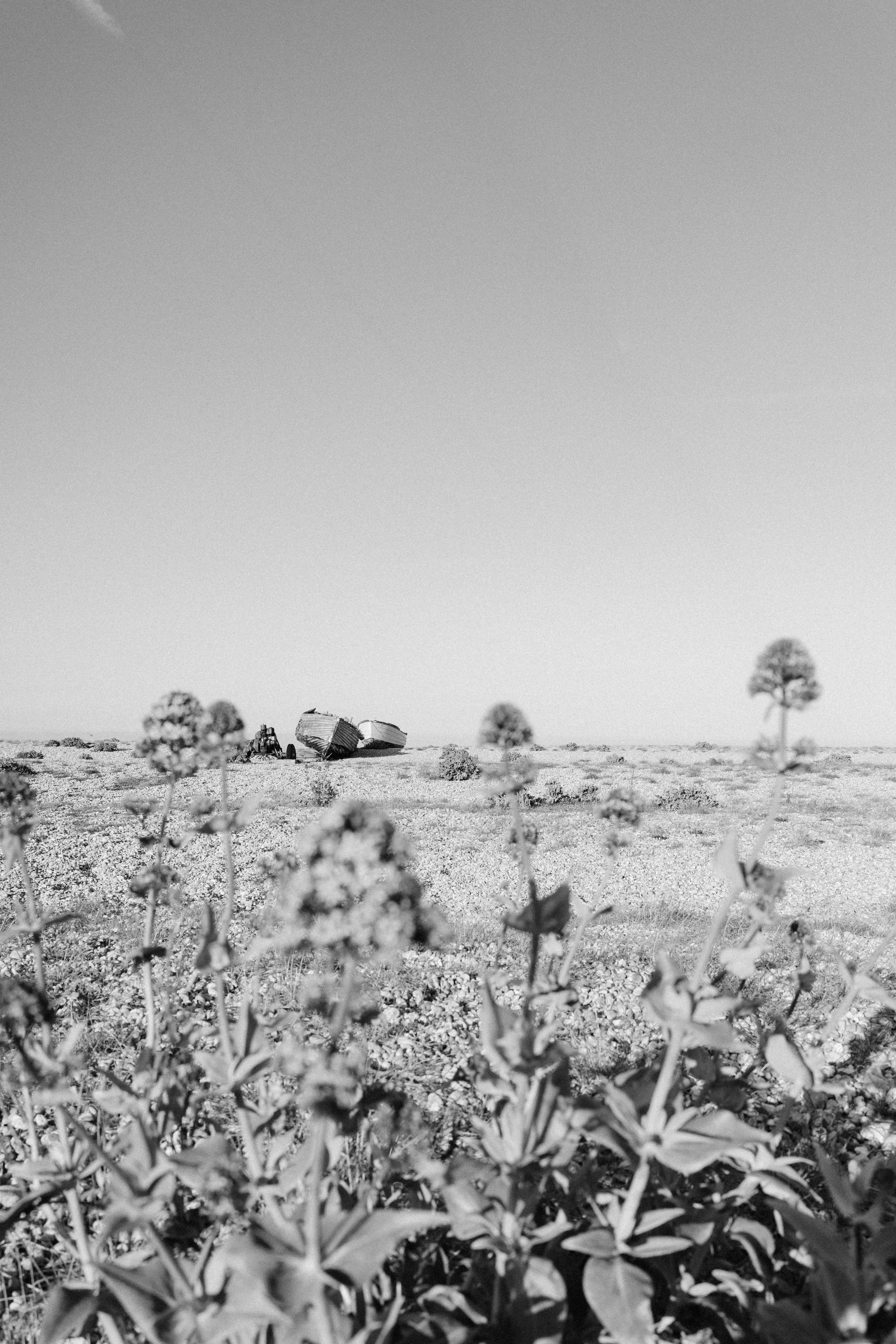 Photo by anniespratt