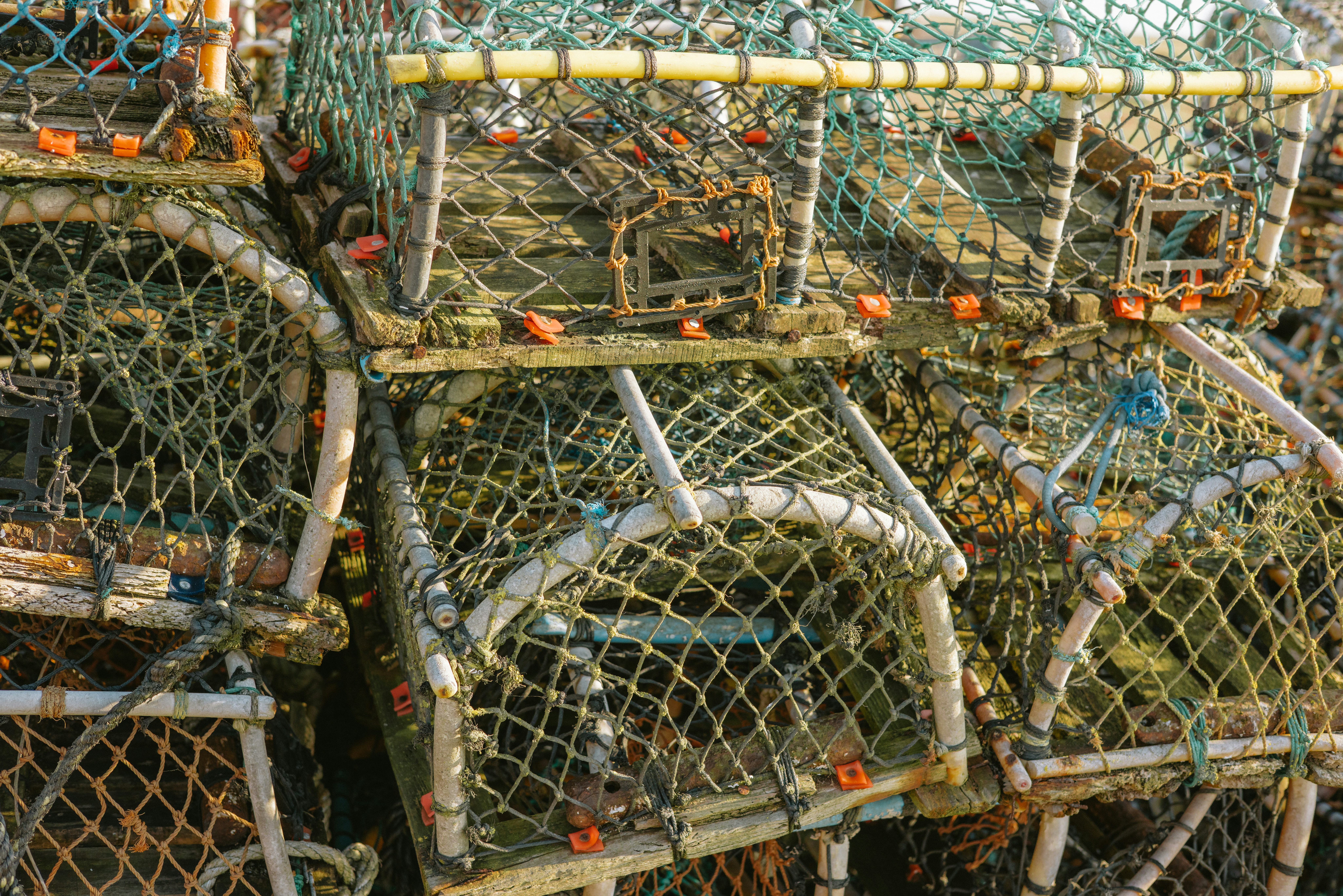 乱獲や過剰漁獲のイメージ