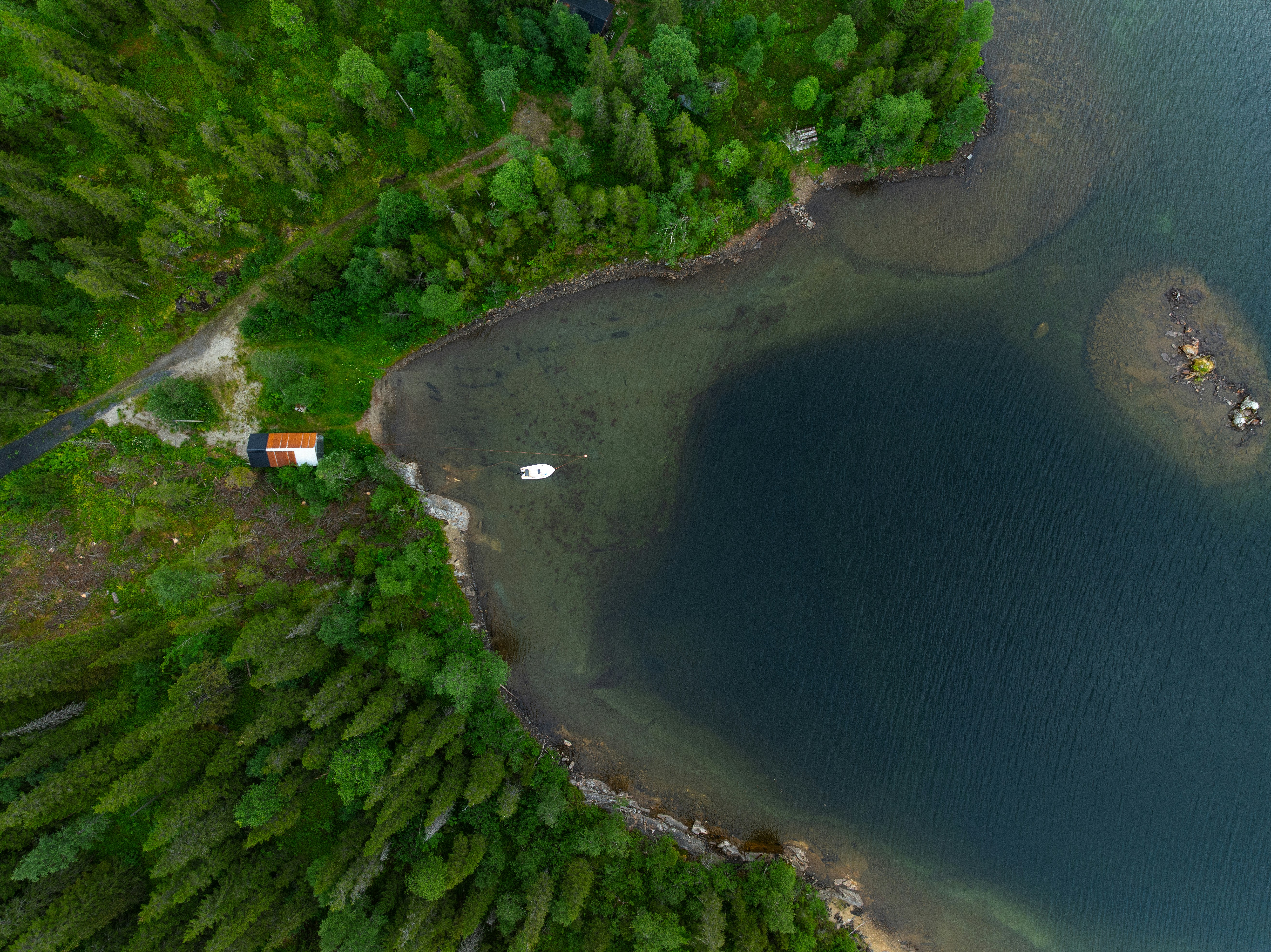 Photo by kristapsungurs