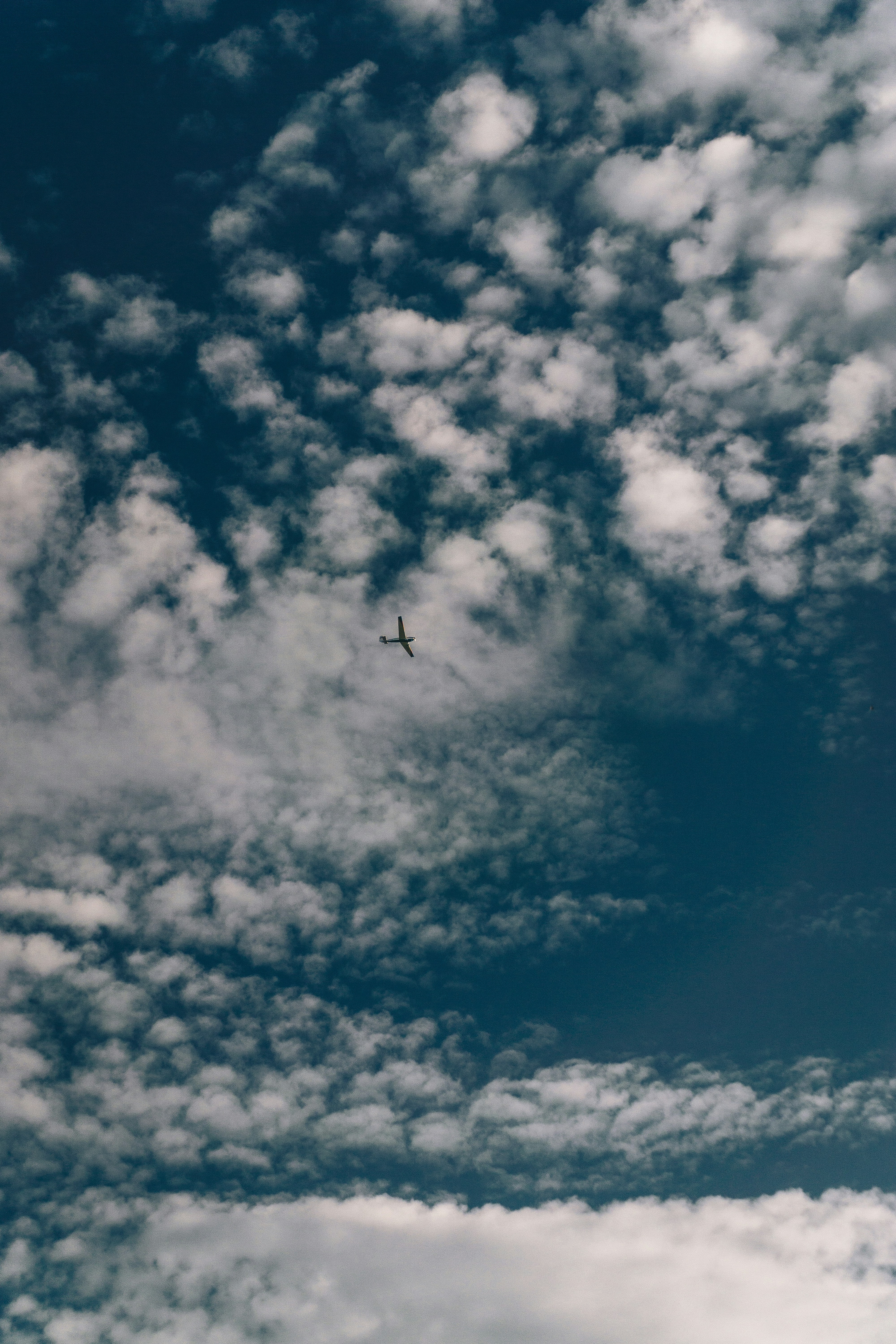 Photo by sindy_suessengut