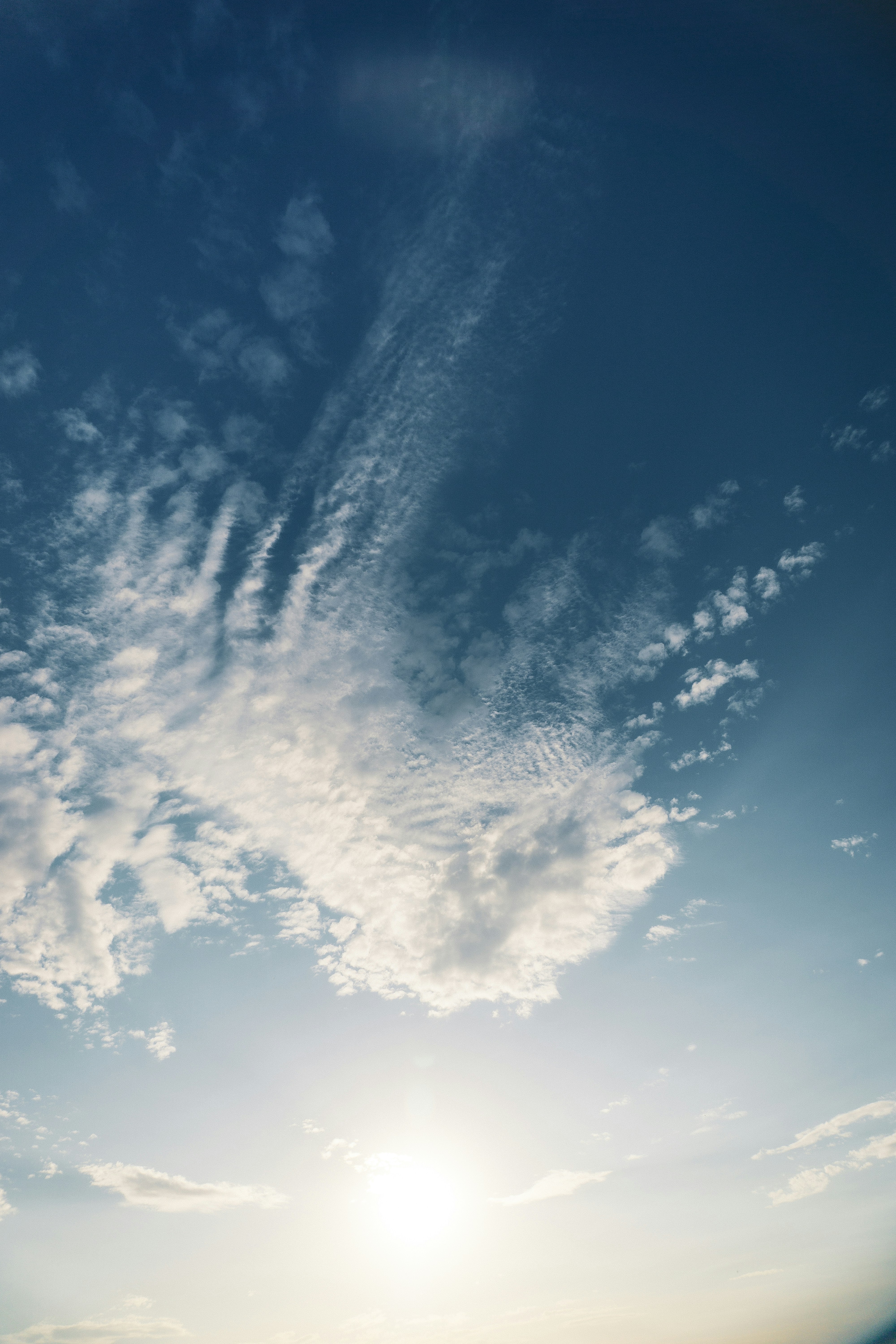 Photo by sindy_suessengut