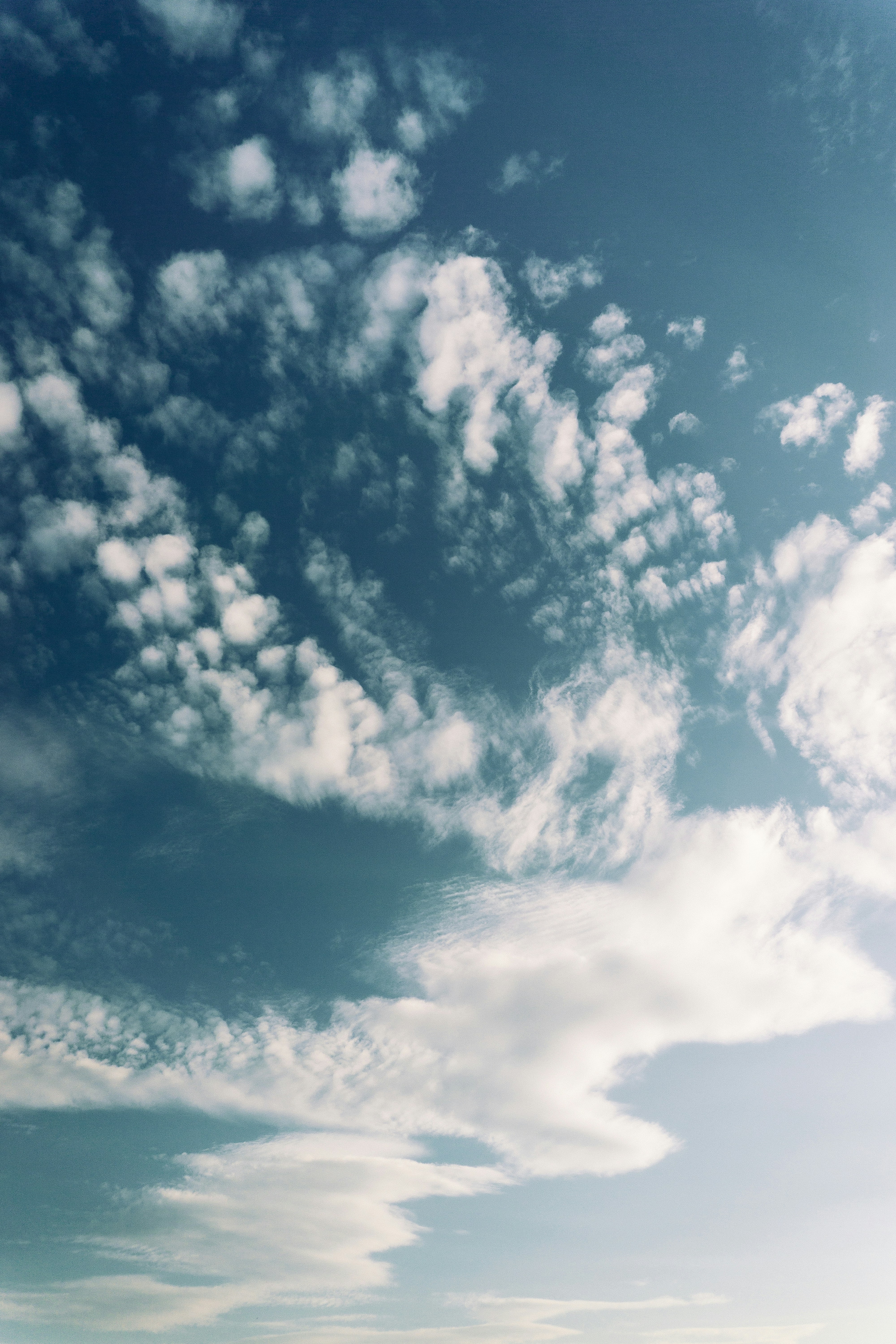 Photo by sindy_suessengut