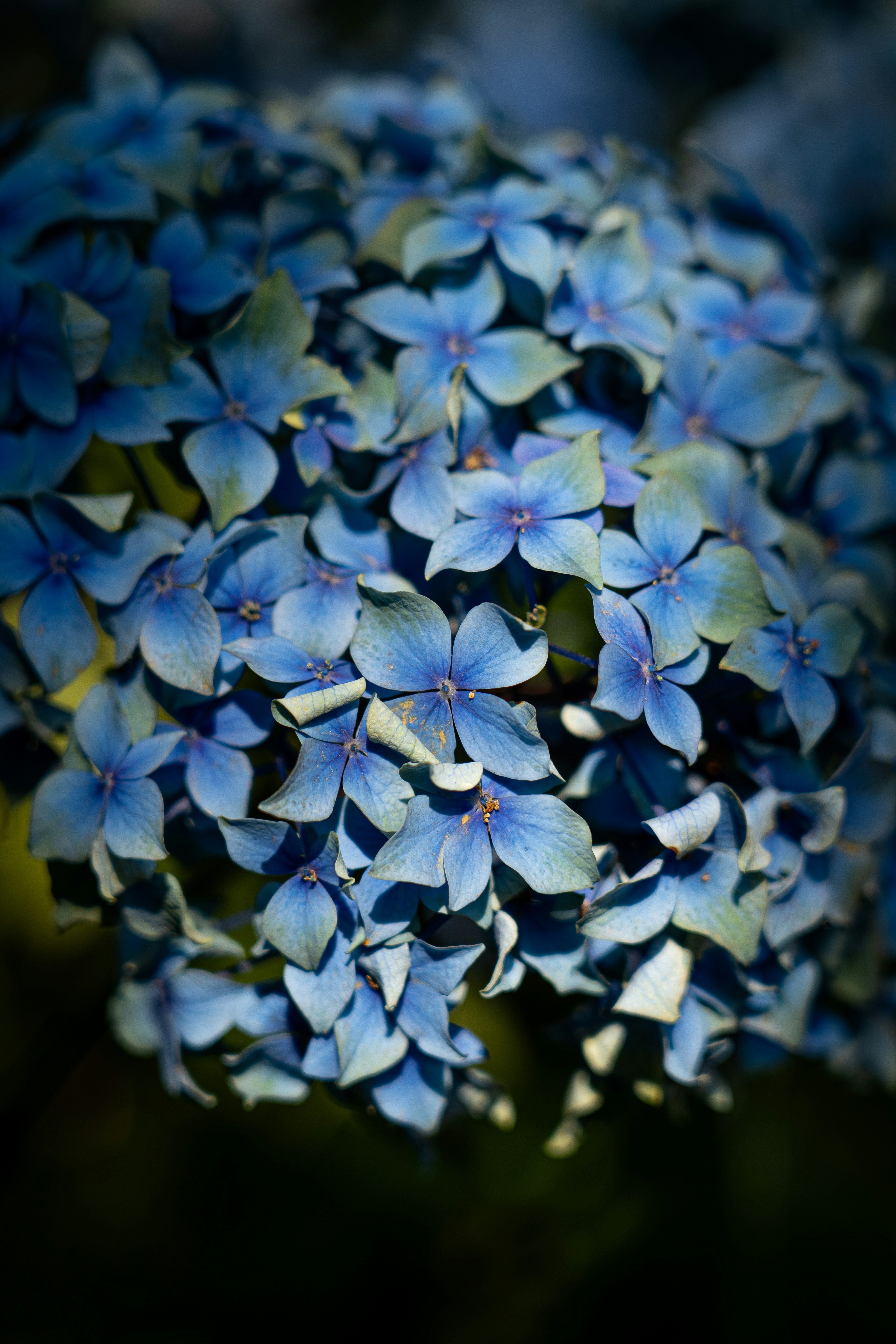 Photo by samuel_hagger