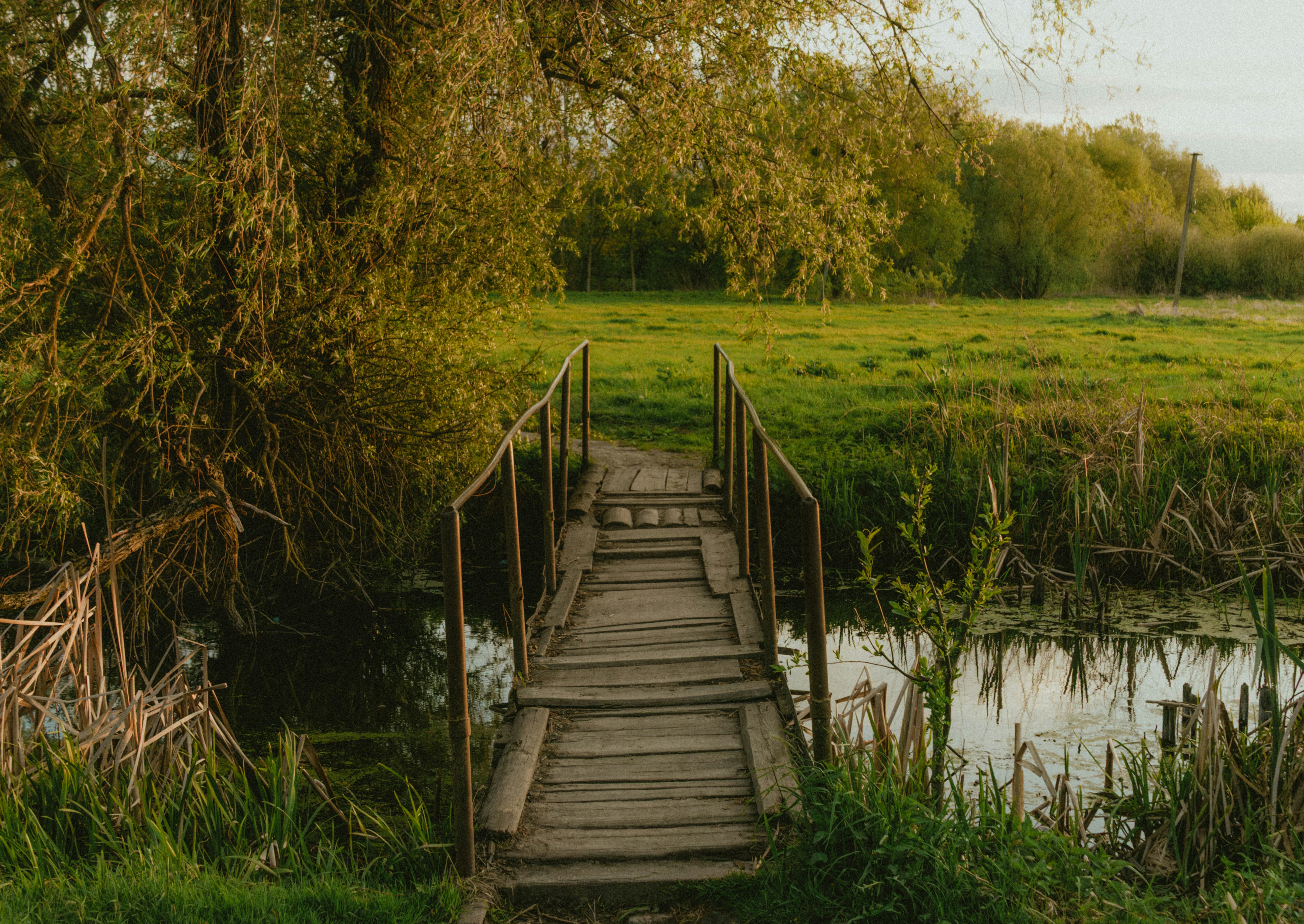 Puente de madera sobre un arroyo tranquilo en un campo de hierba.