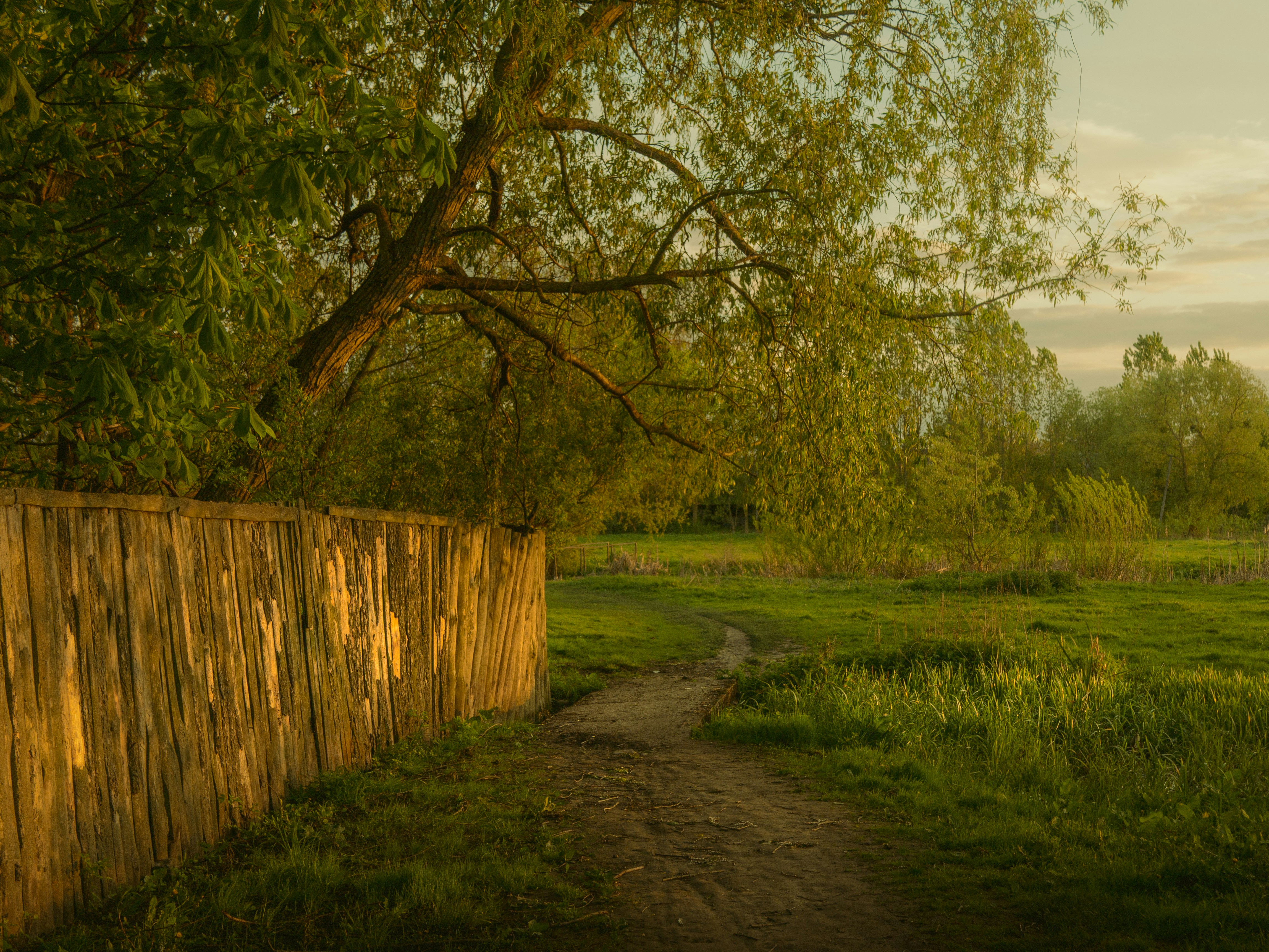Wooden fence along a path in a grassy field.