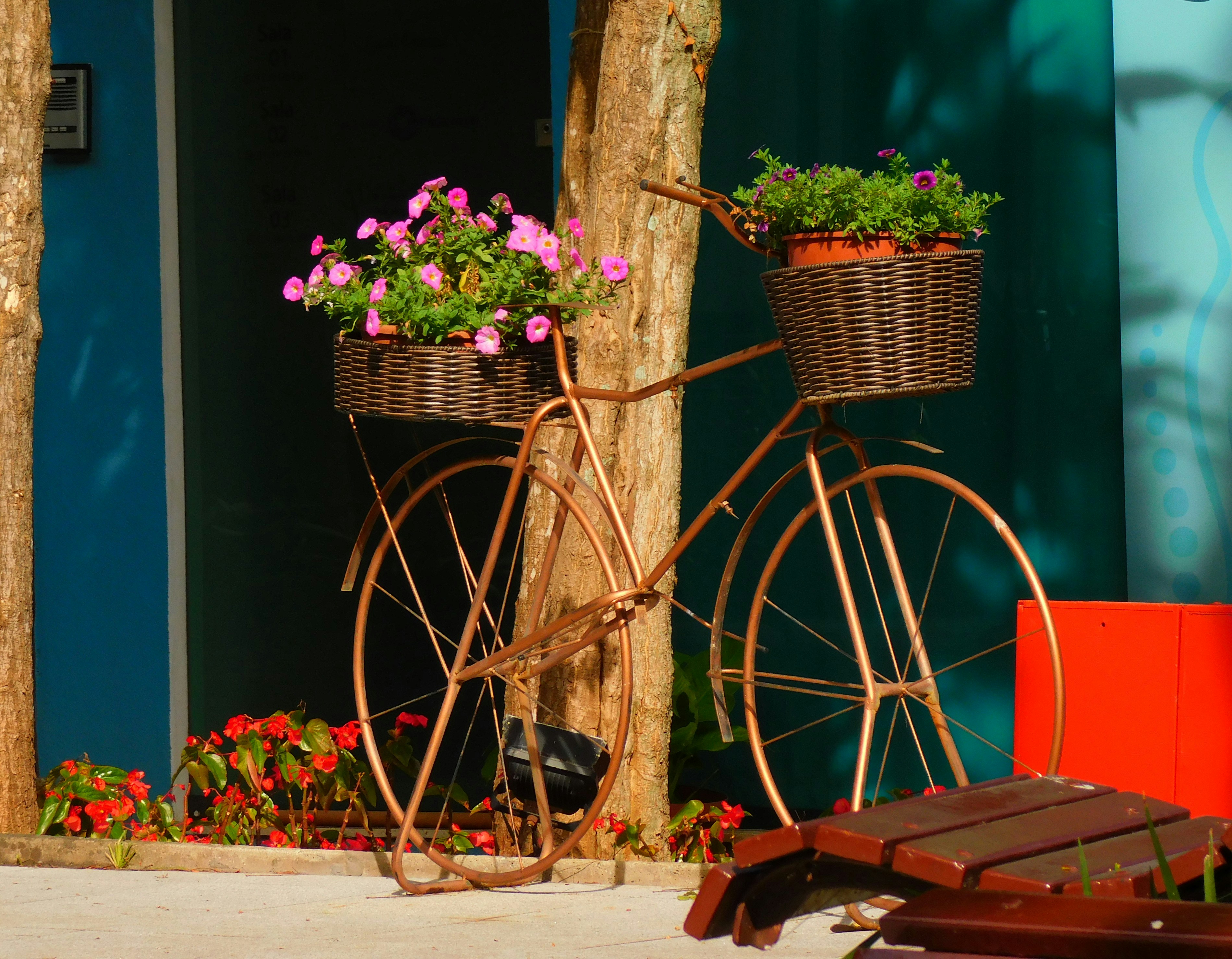 Bicycle with flower baskets near a blue door