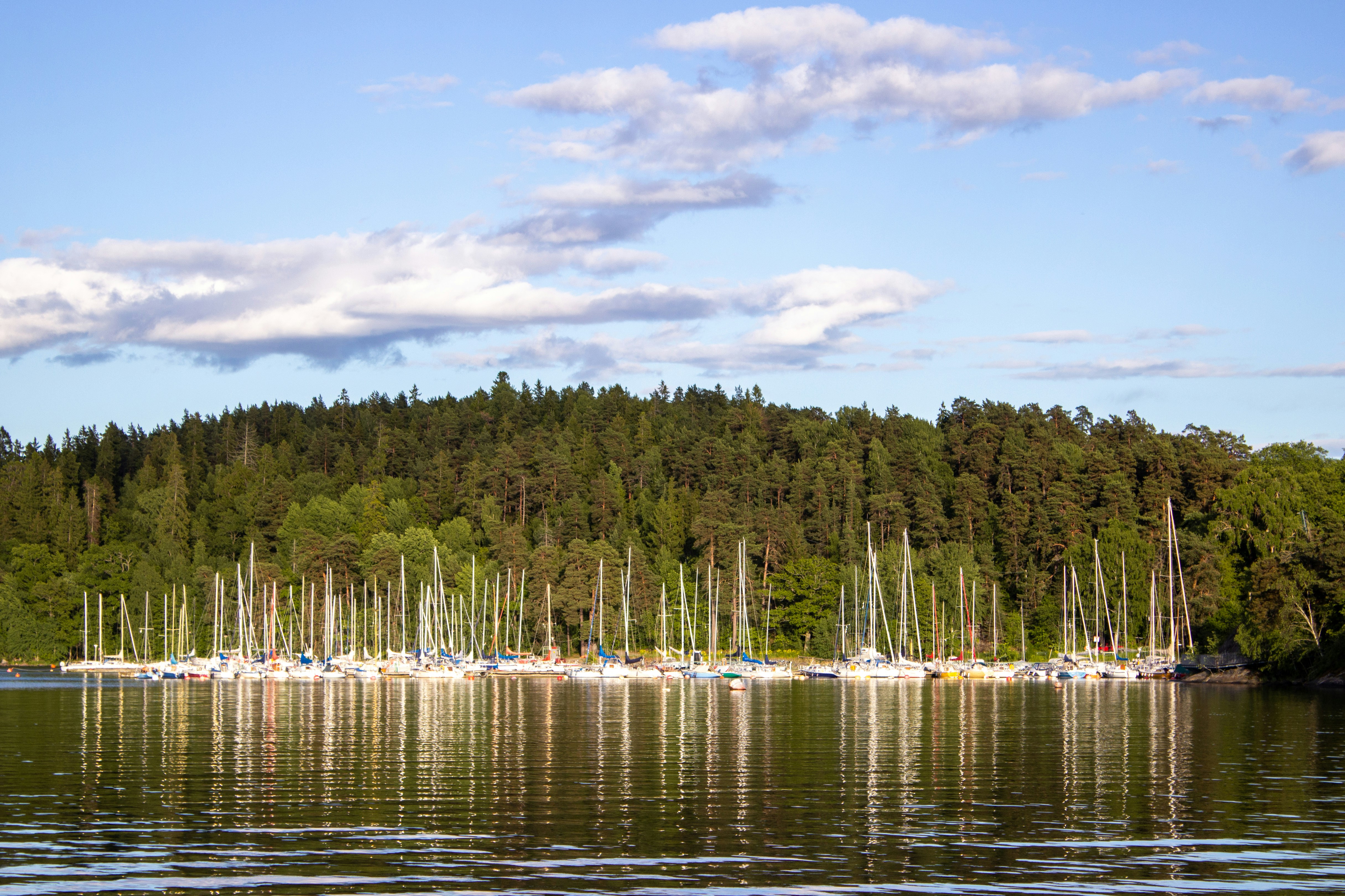 Skog Beach view 2
