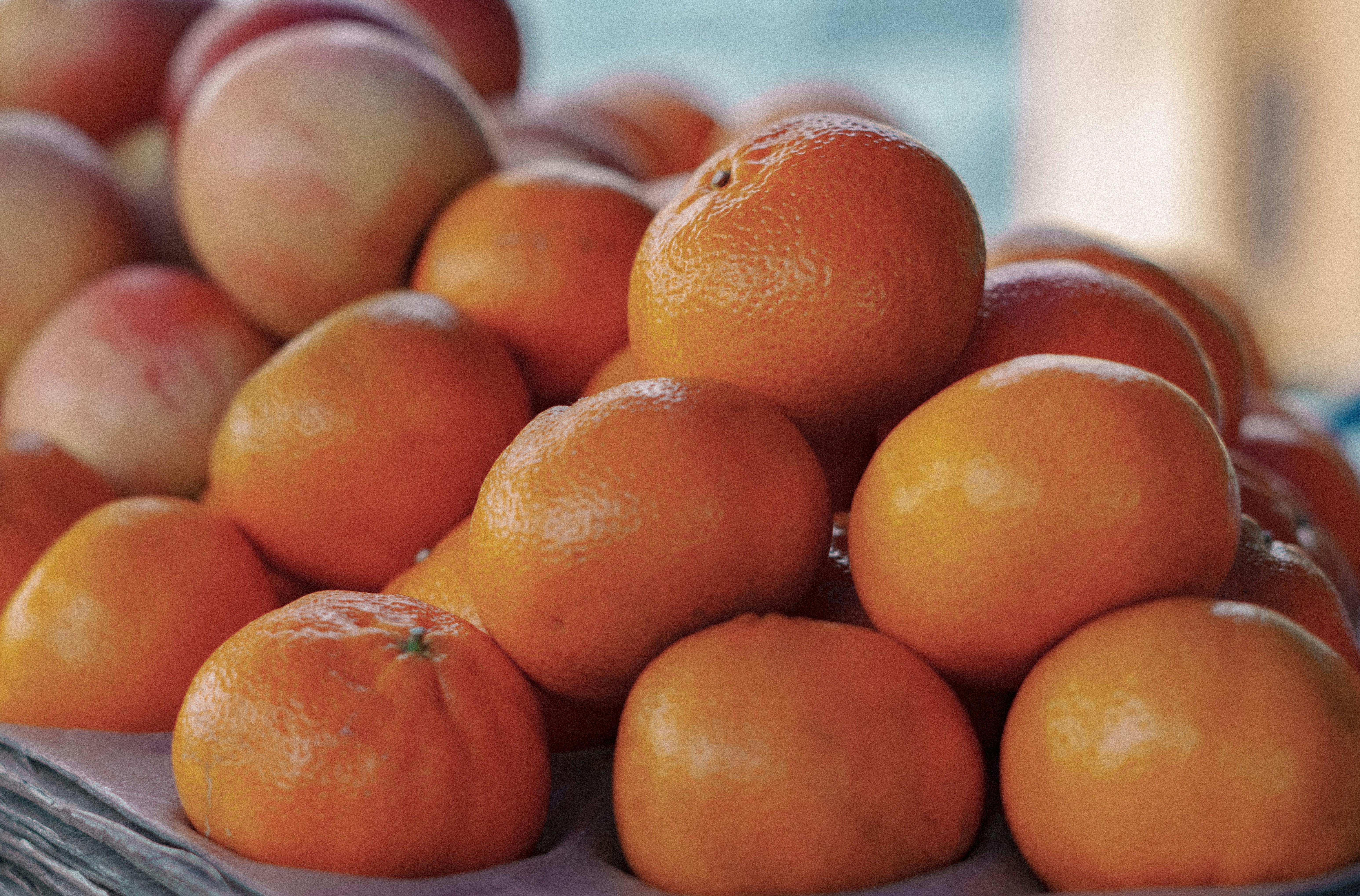 Photo by jealife_pictures