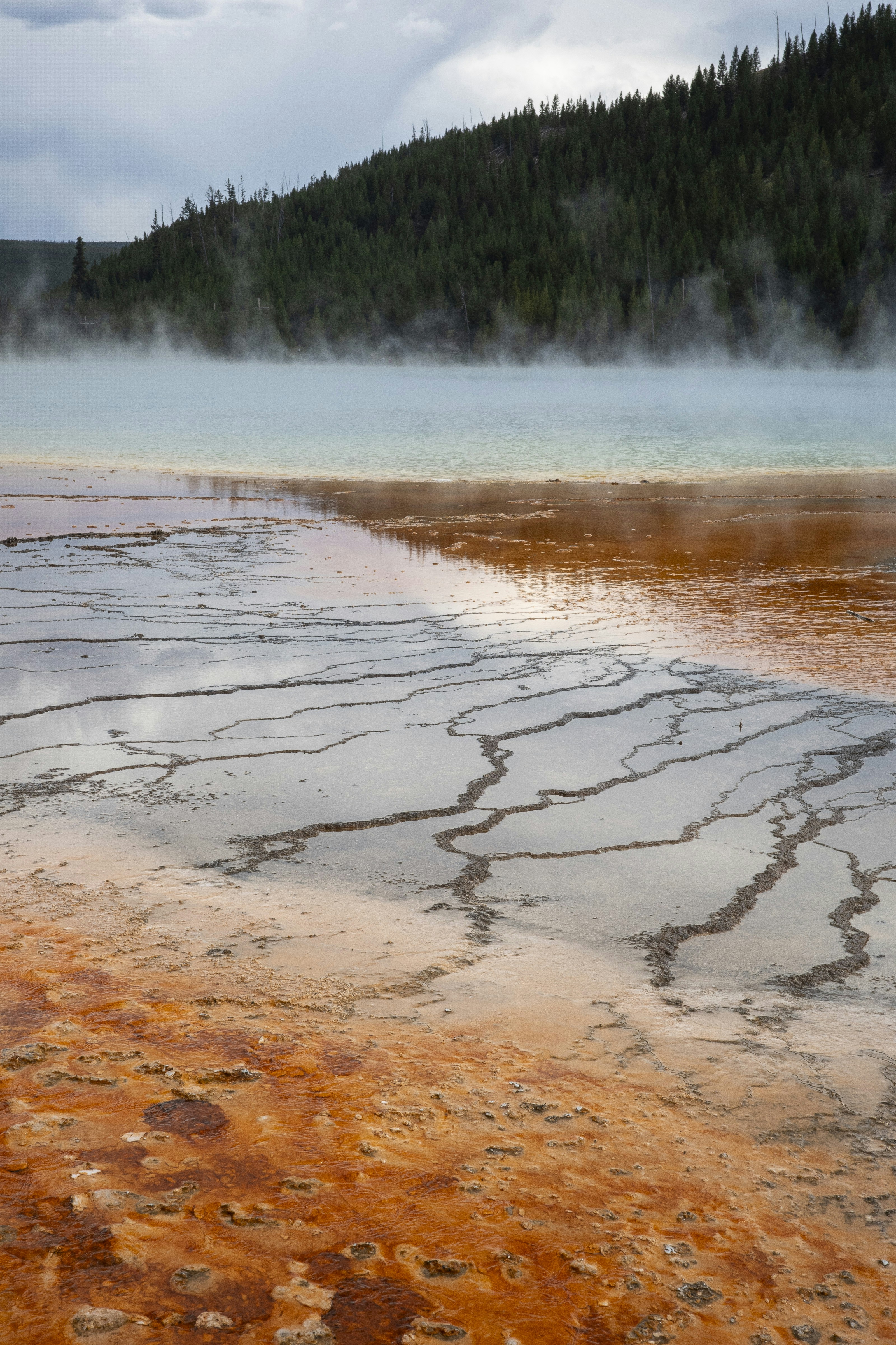 Photo by seunghoparklee