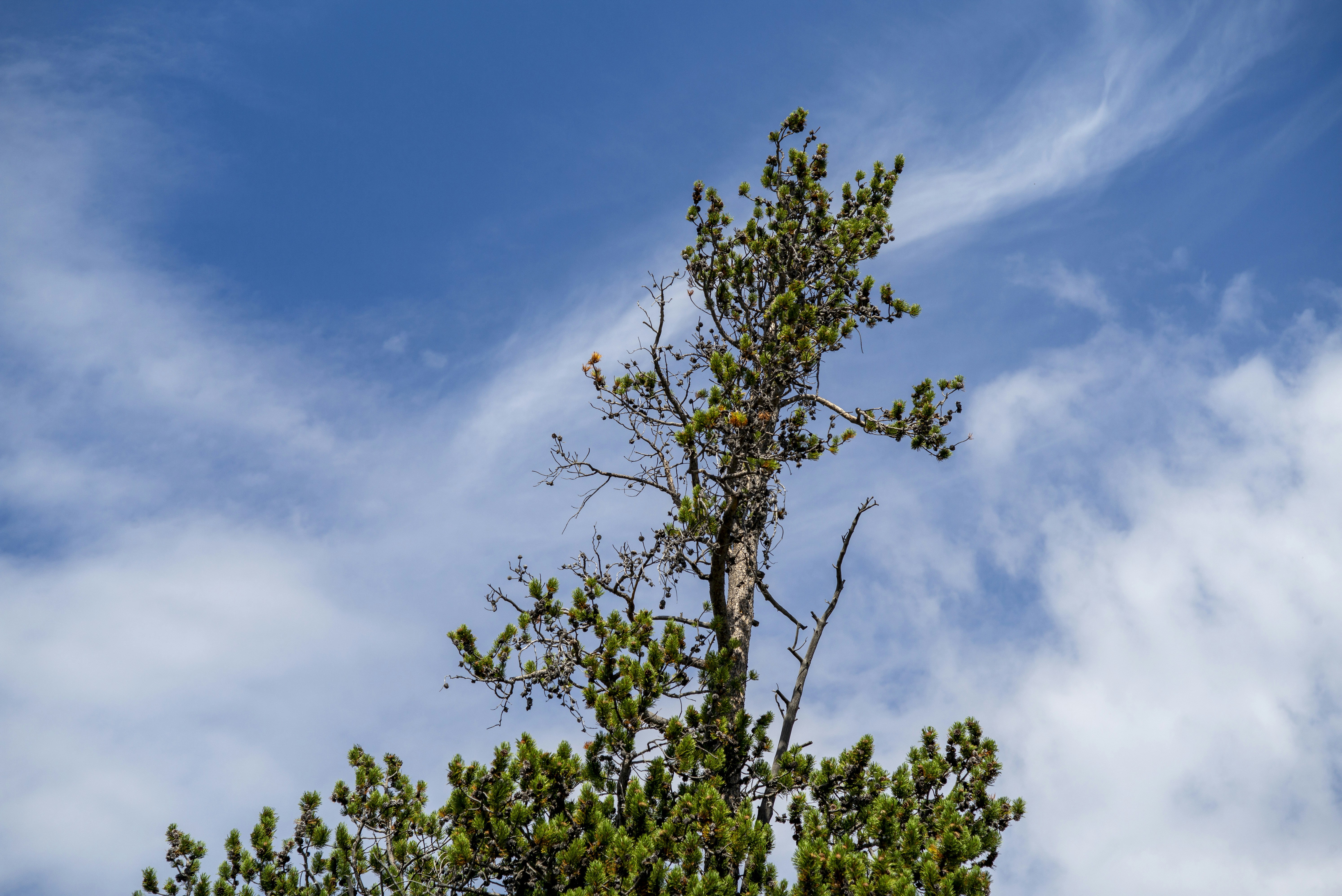 Photo by seunghoparklee