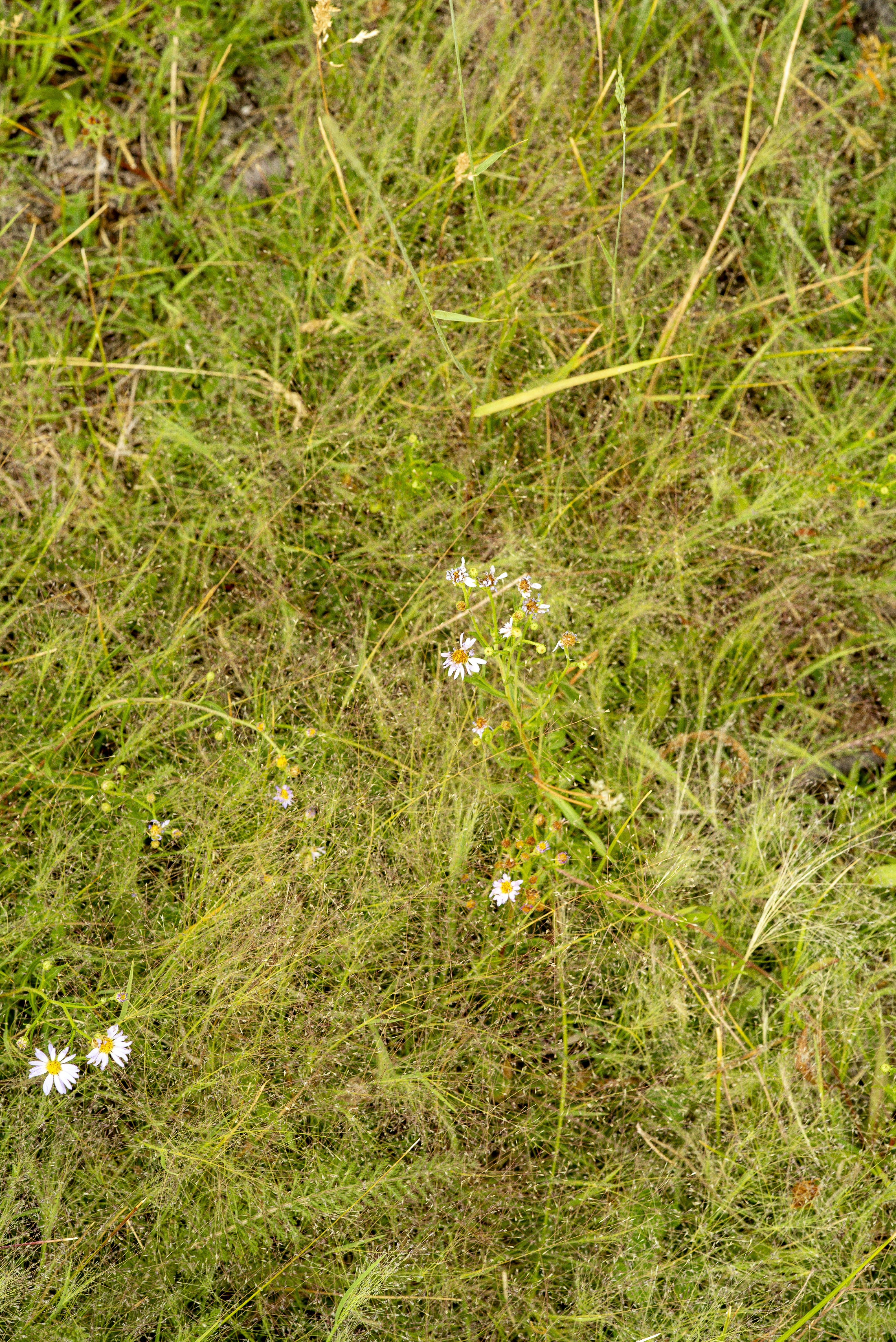 Photo by seunghoparklee