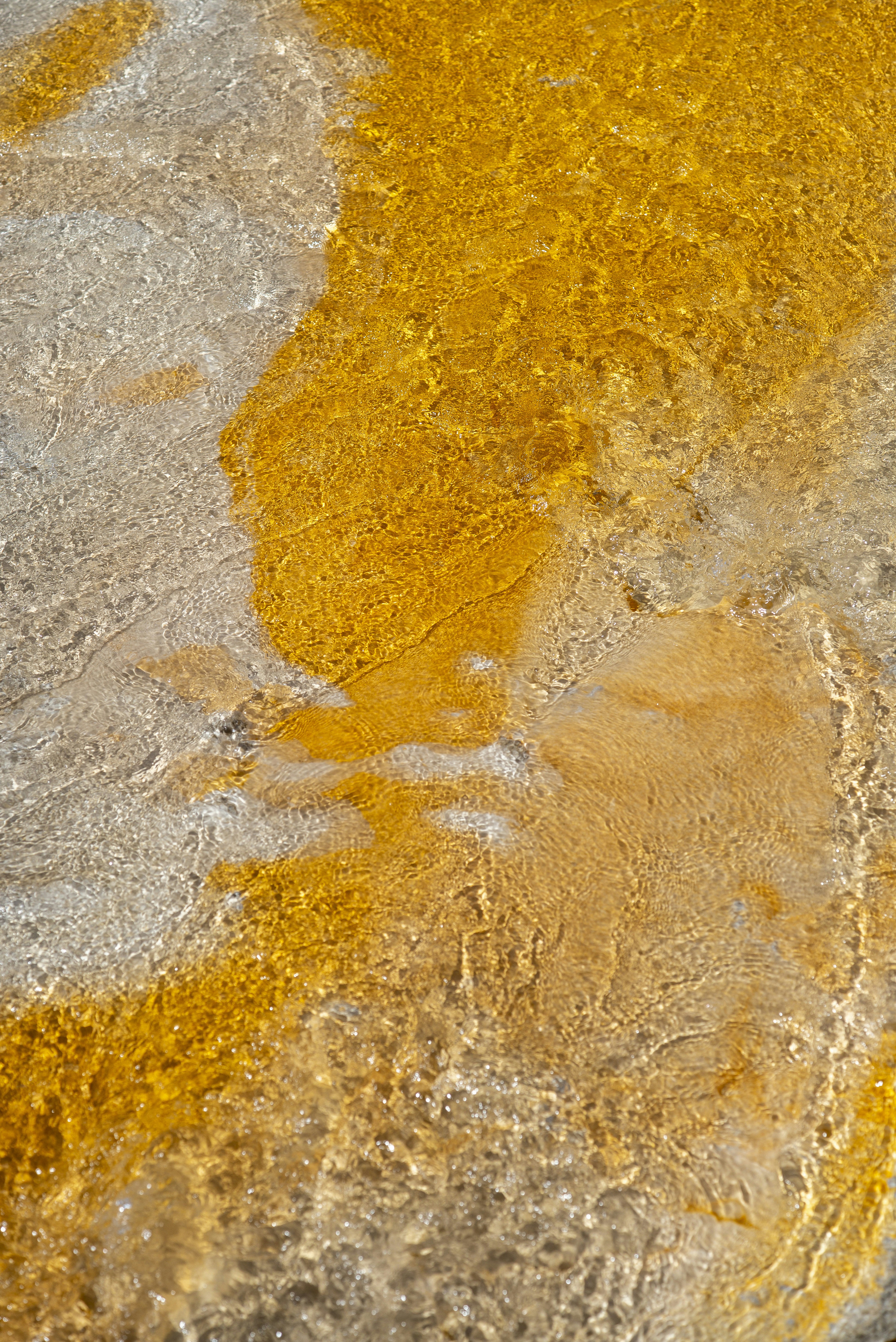 Photo by seunghoparklee