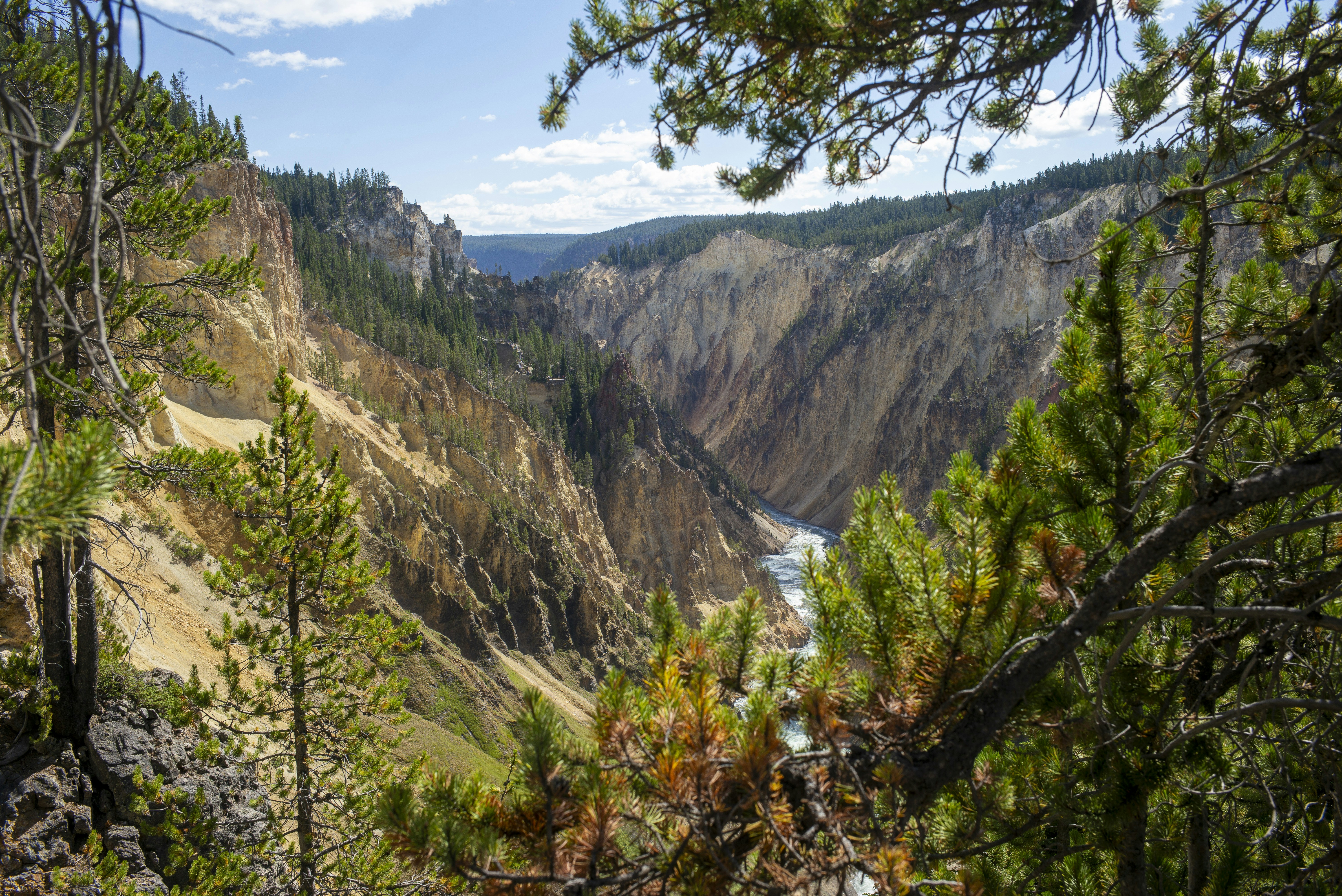 Photo by seunghoparklee