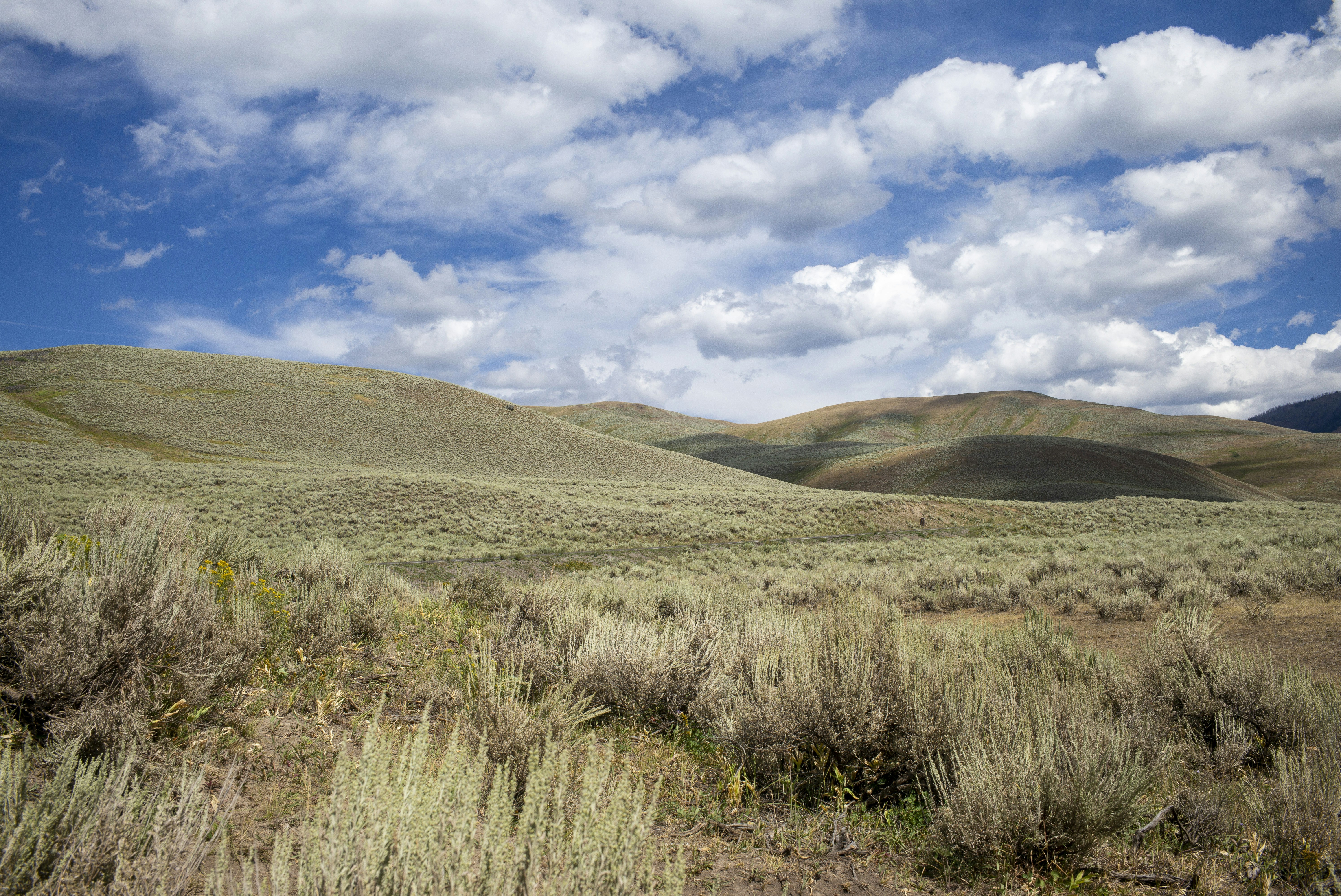 Photo by seunghoparklee