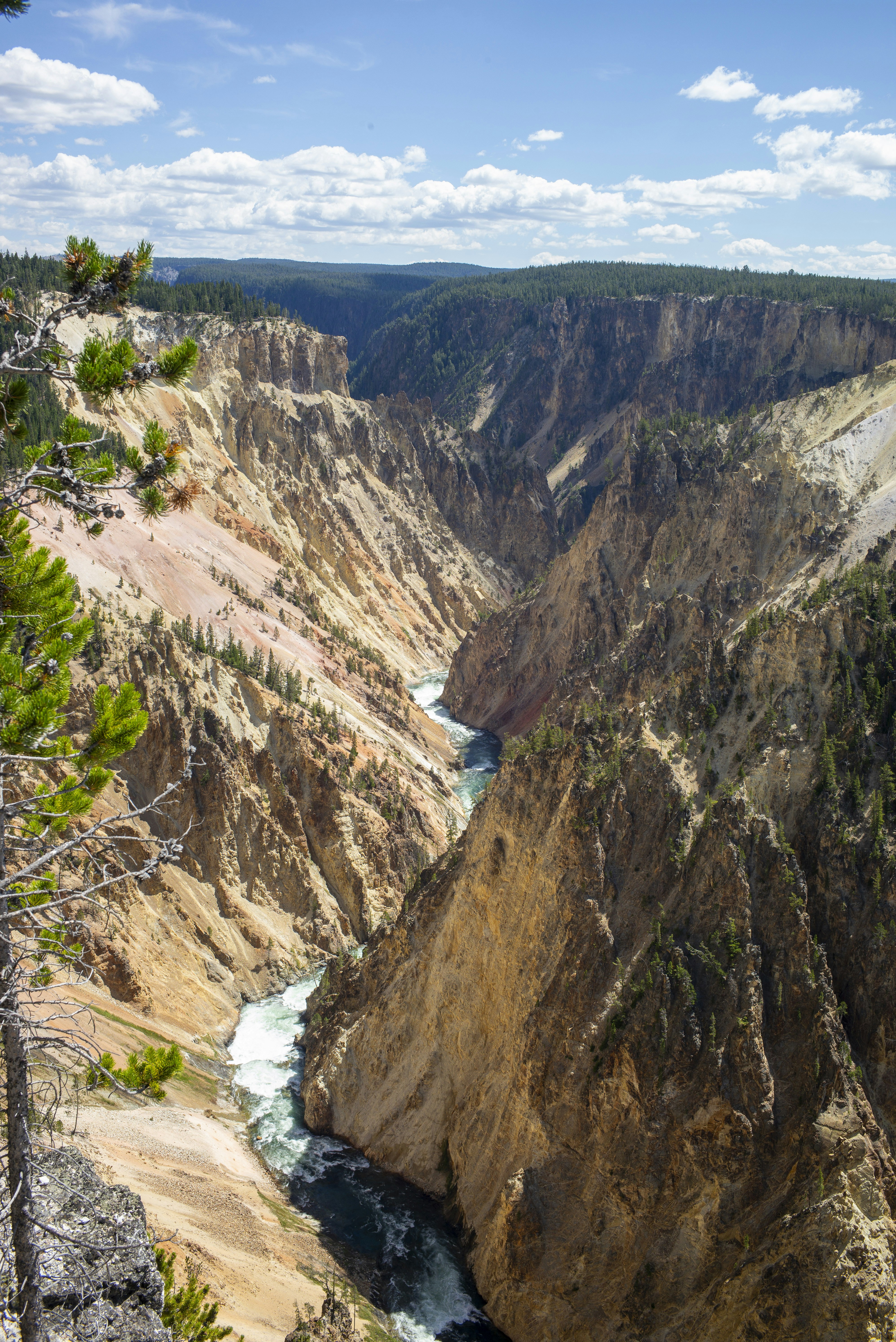 Photo by seunghoparklee