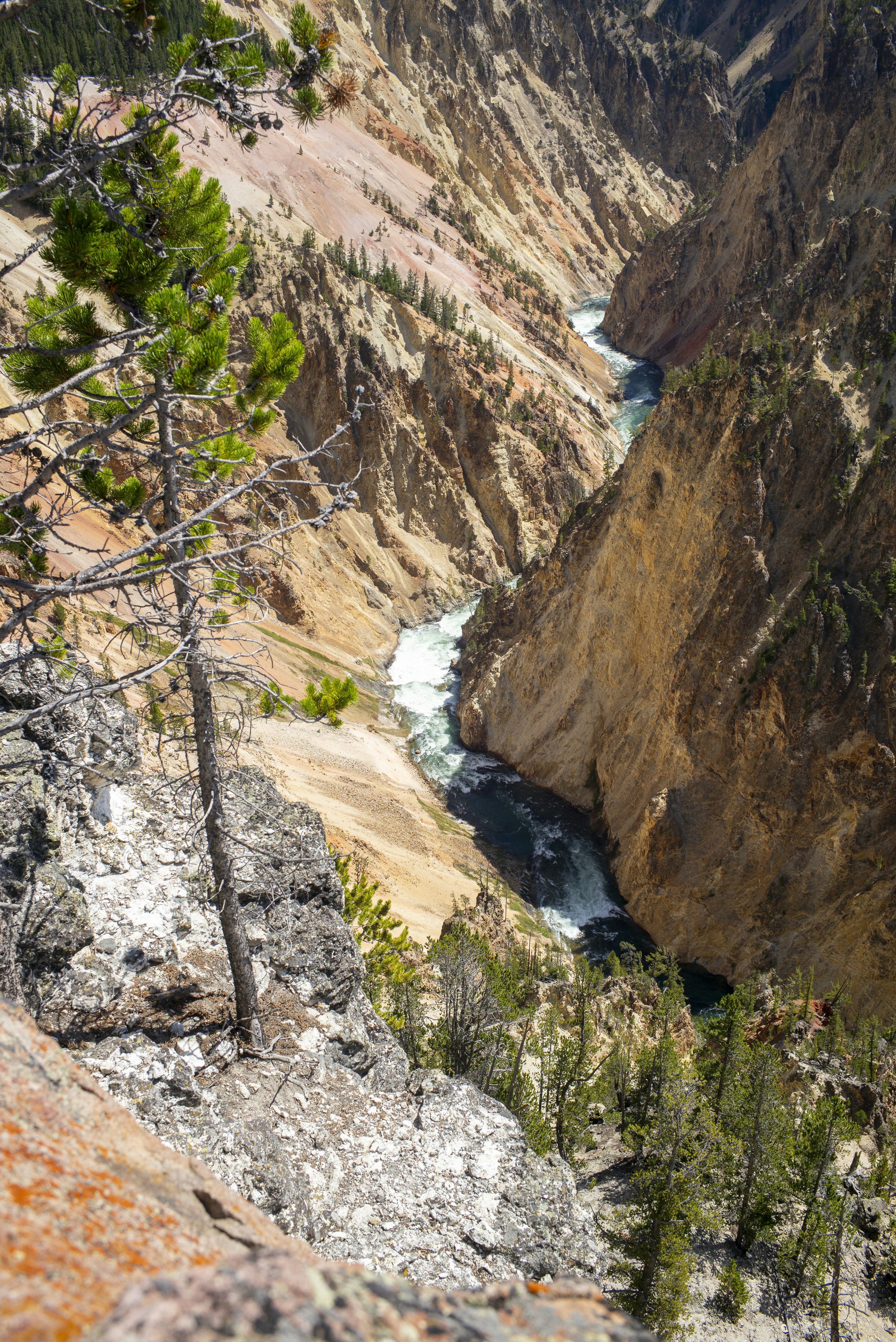 Photo by seunghoparklee