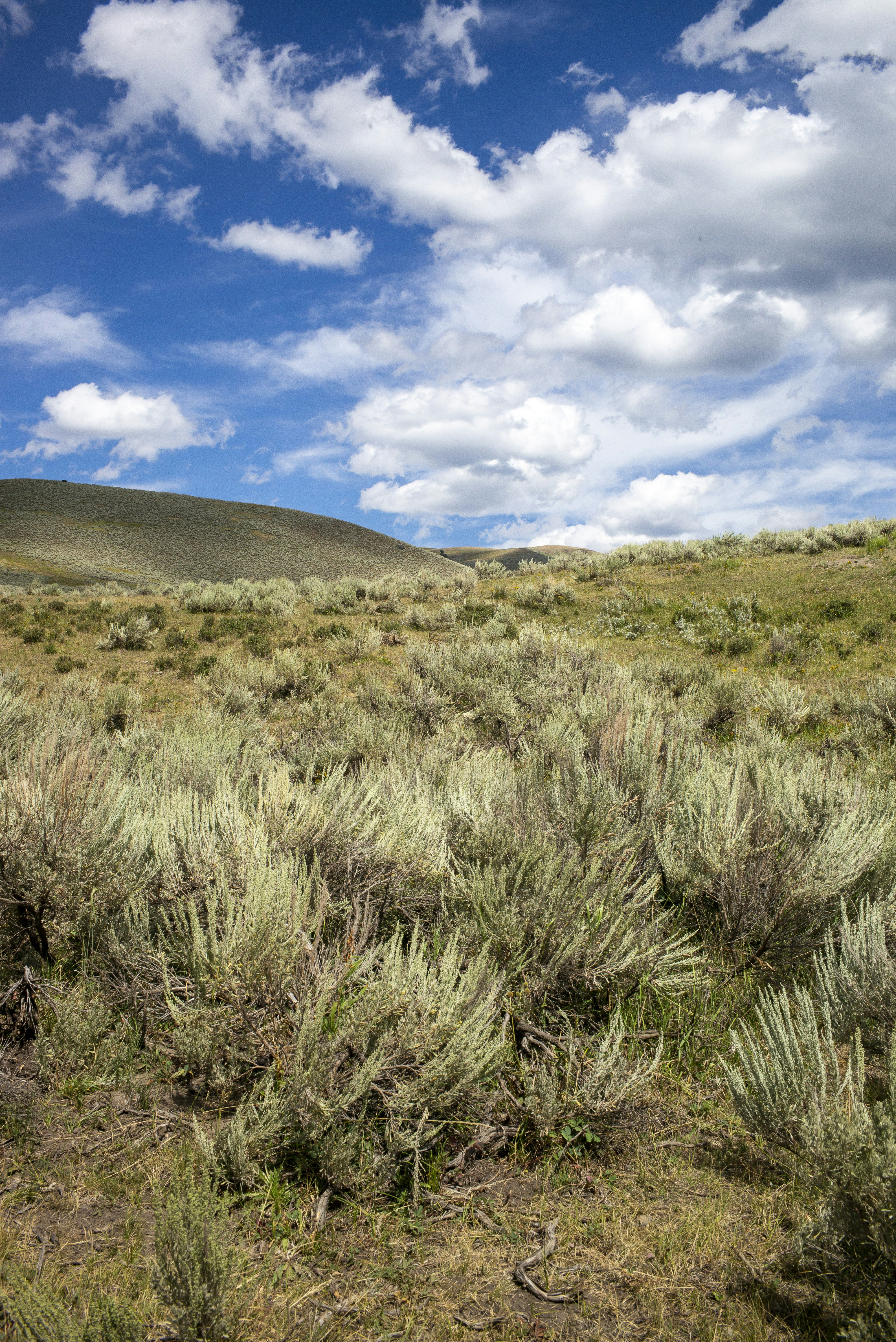 Photo by seunghoparklee