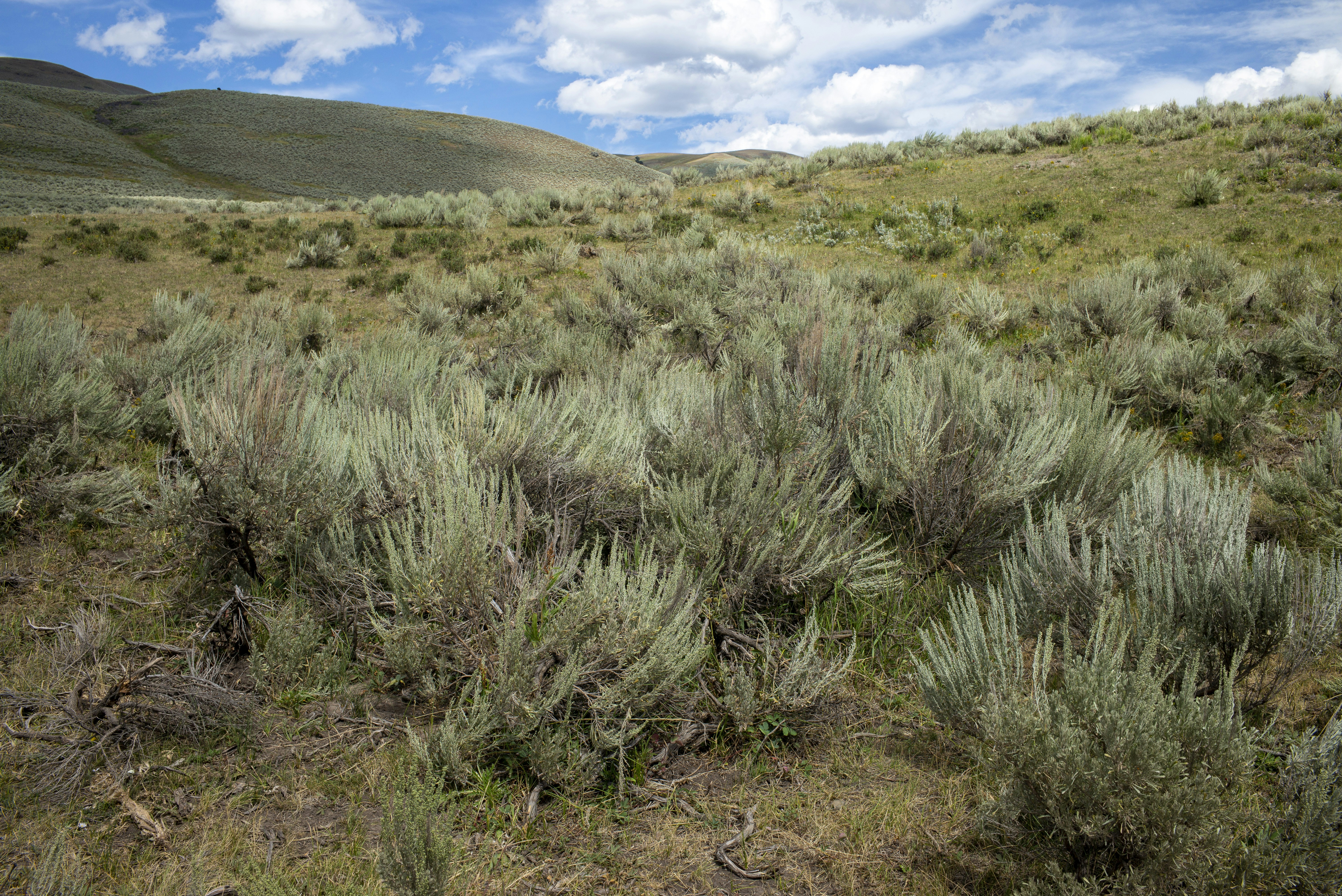 Photo by seunghoparklee