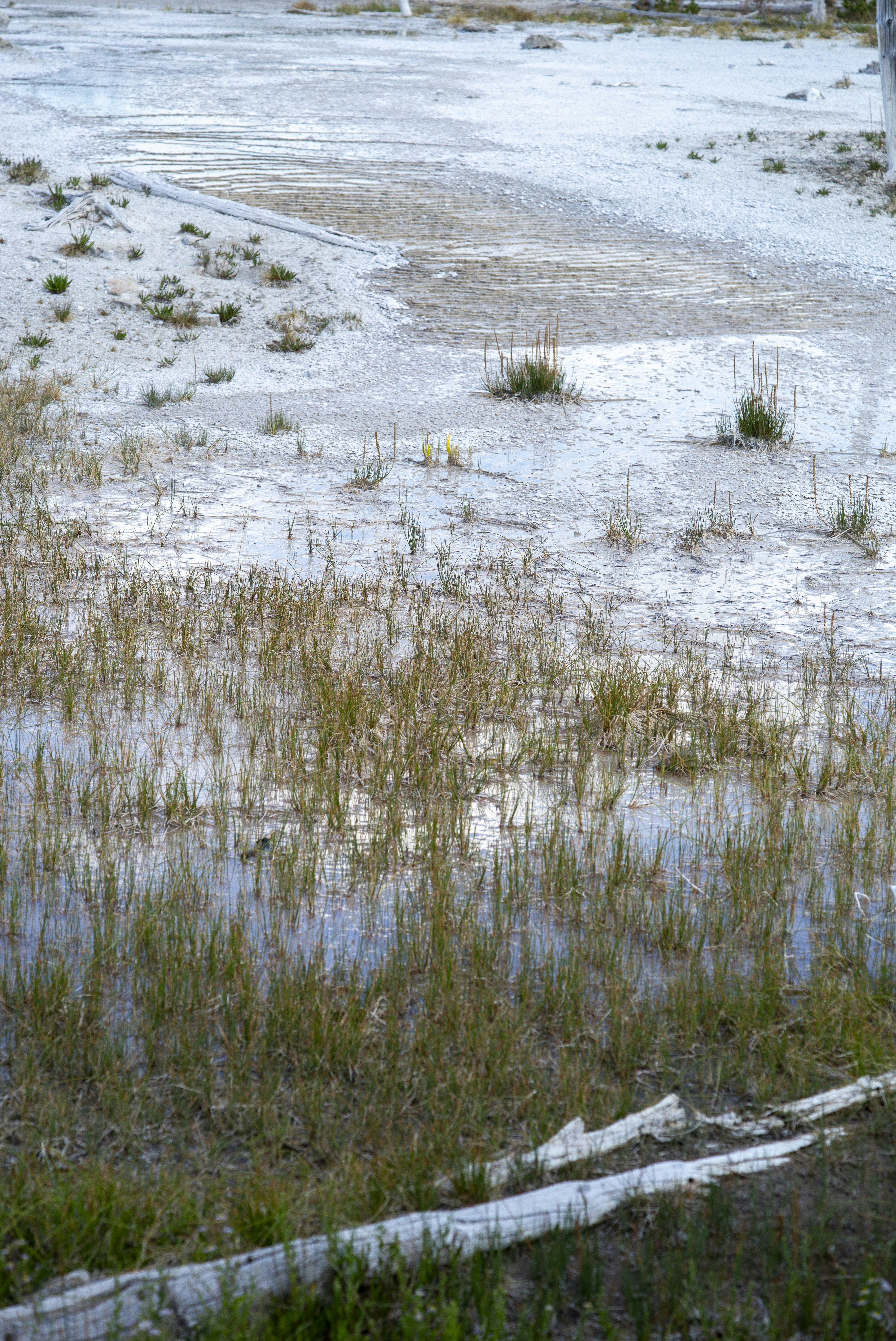 Photo by seunghoparklee