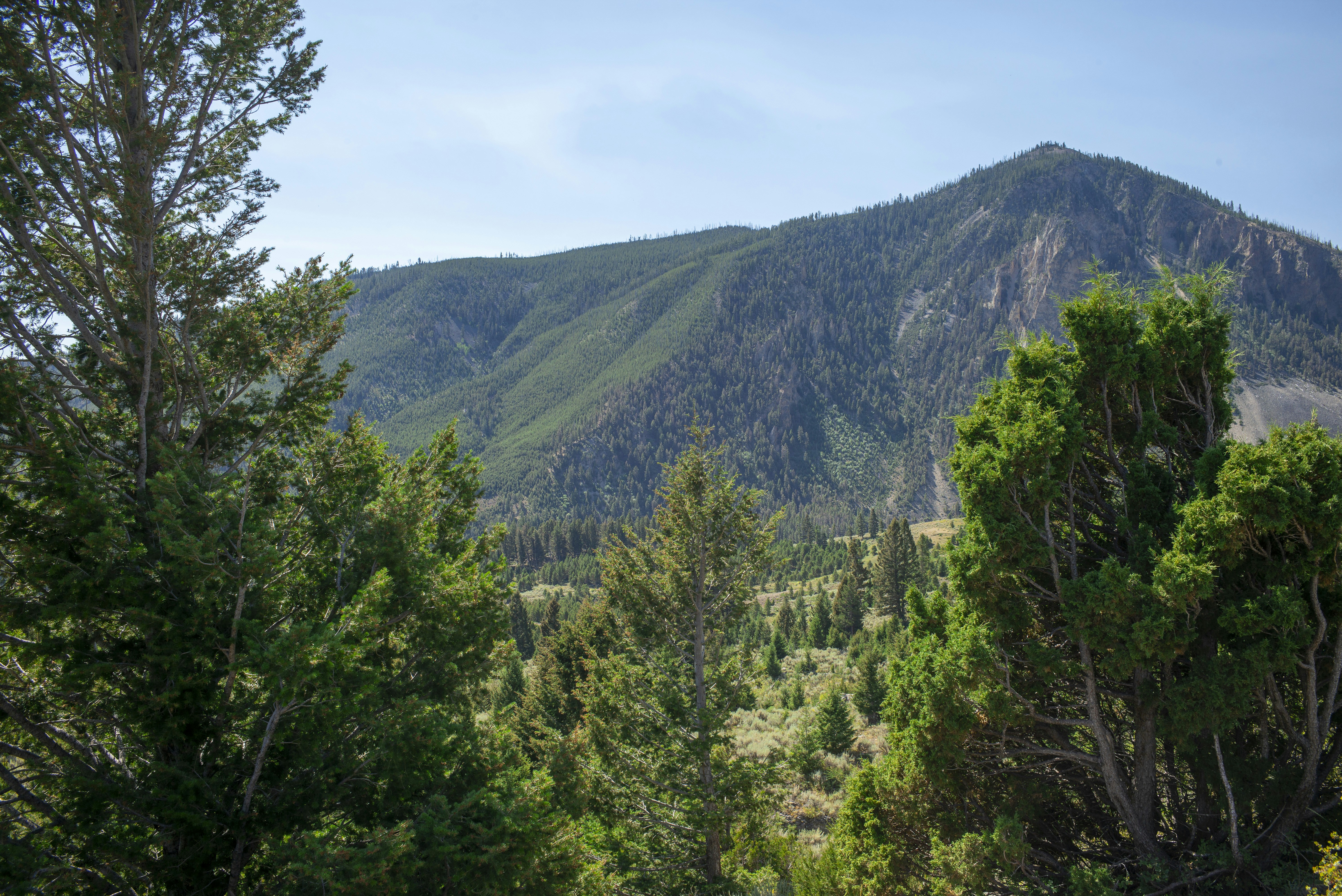 Photo by seunghoparklee