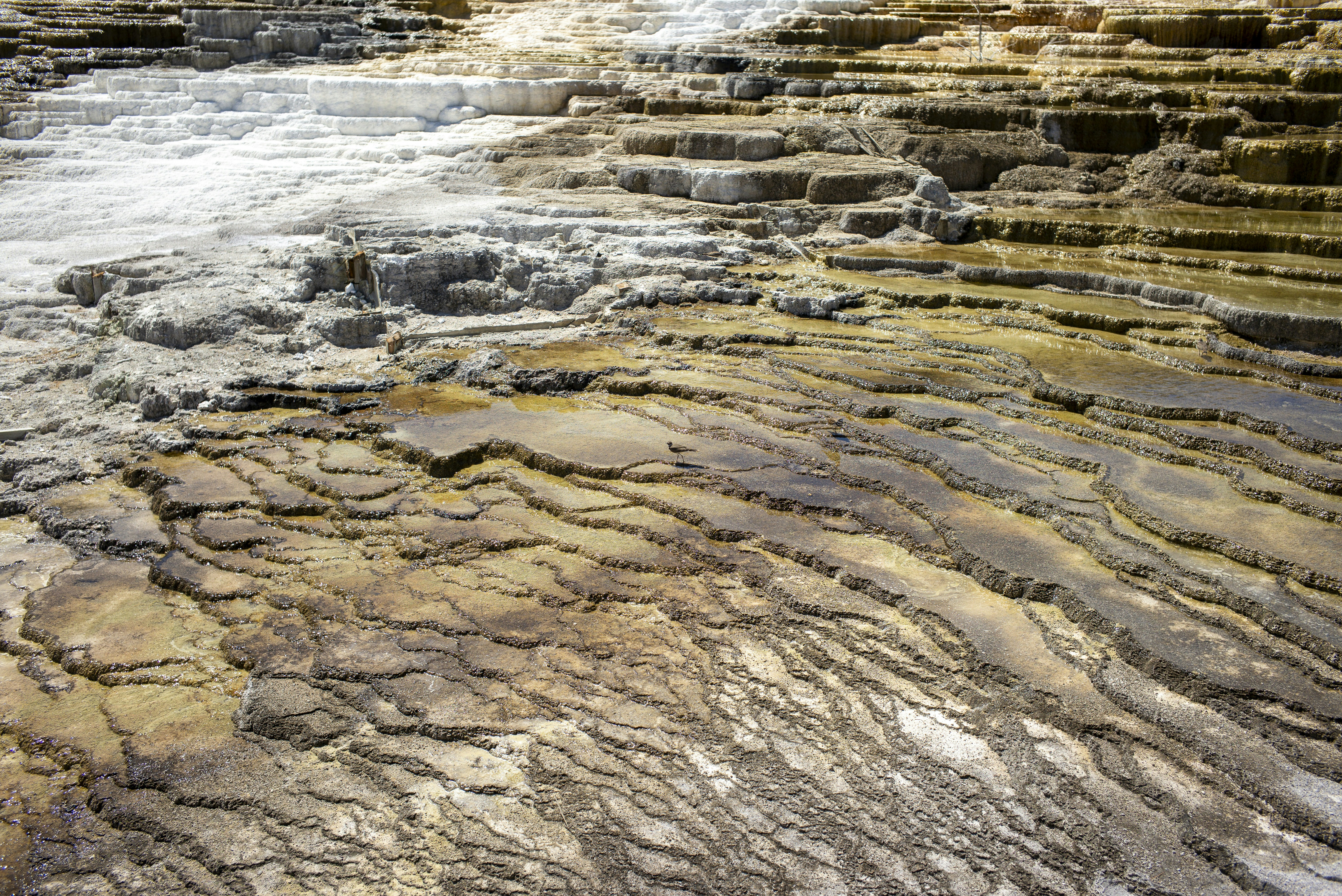 Photo by seunghoparklee