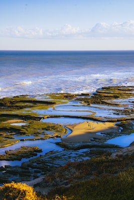 Rocky coastline with tide pools and ocean waves near Yachats