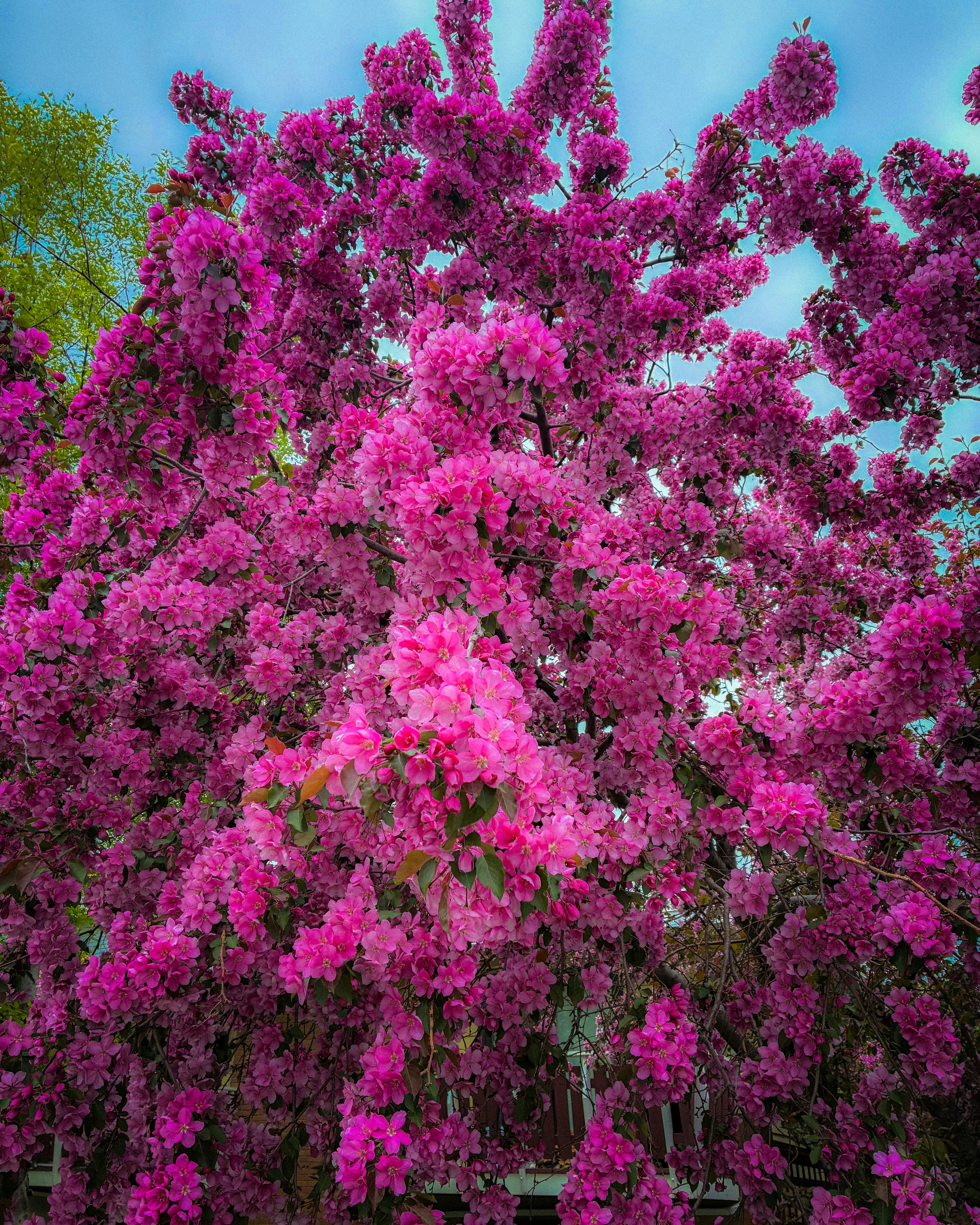 Photo by dmytro_yarish