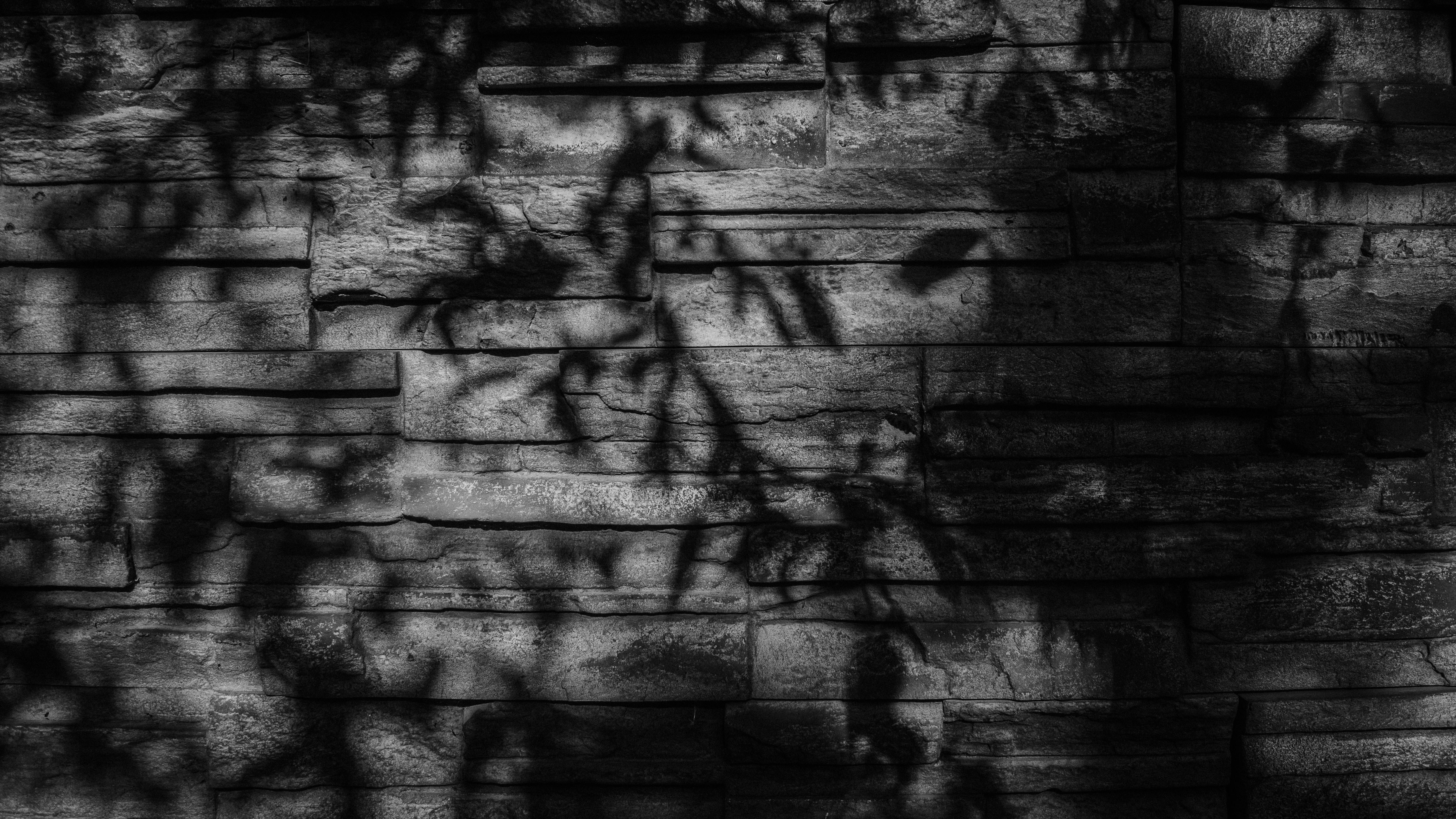 Photo by dmytro_yarish