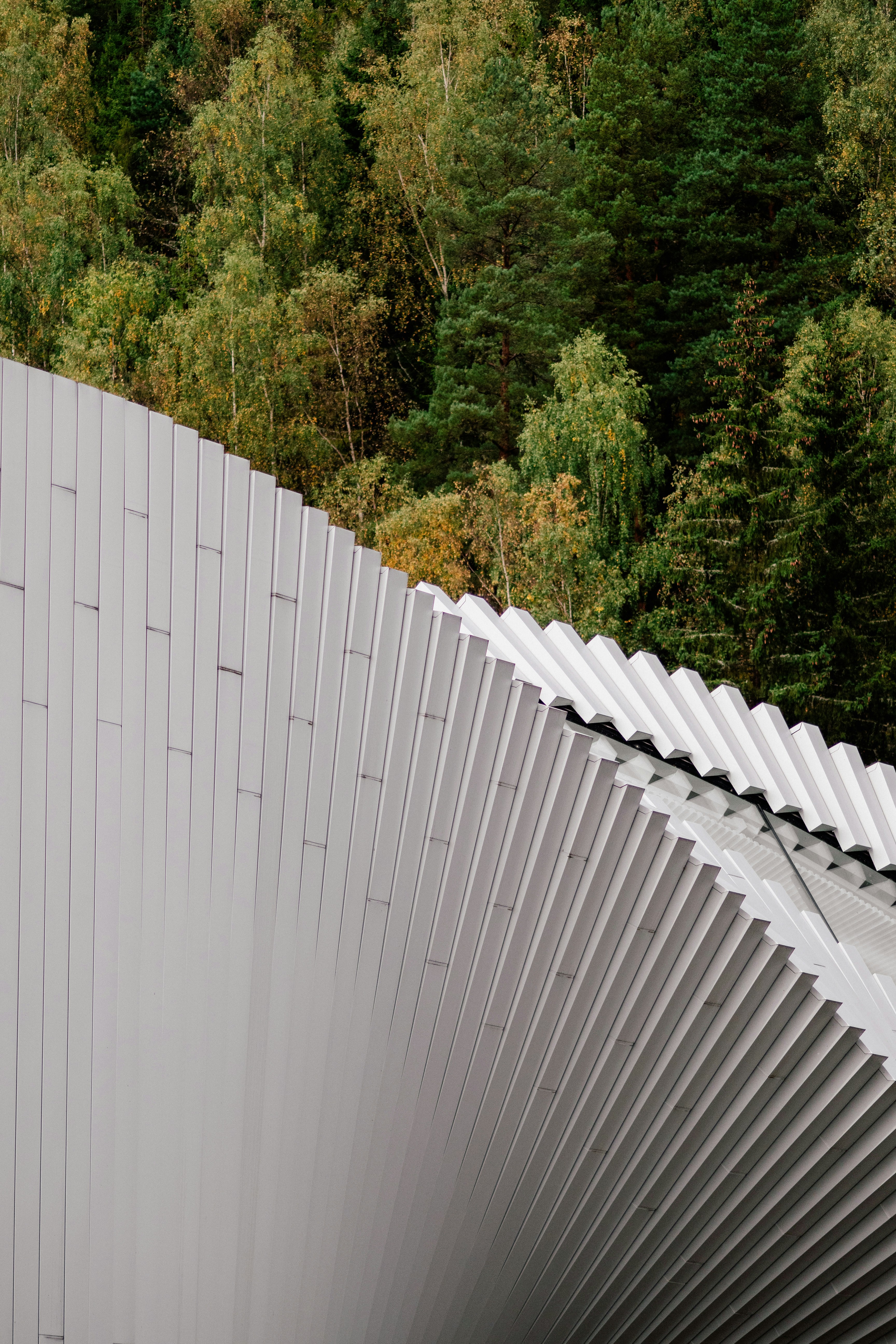 Modern building facade against a forest backdrop