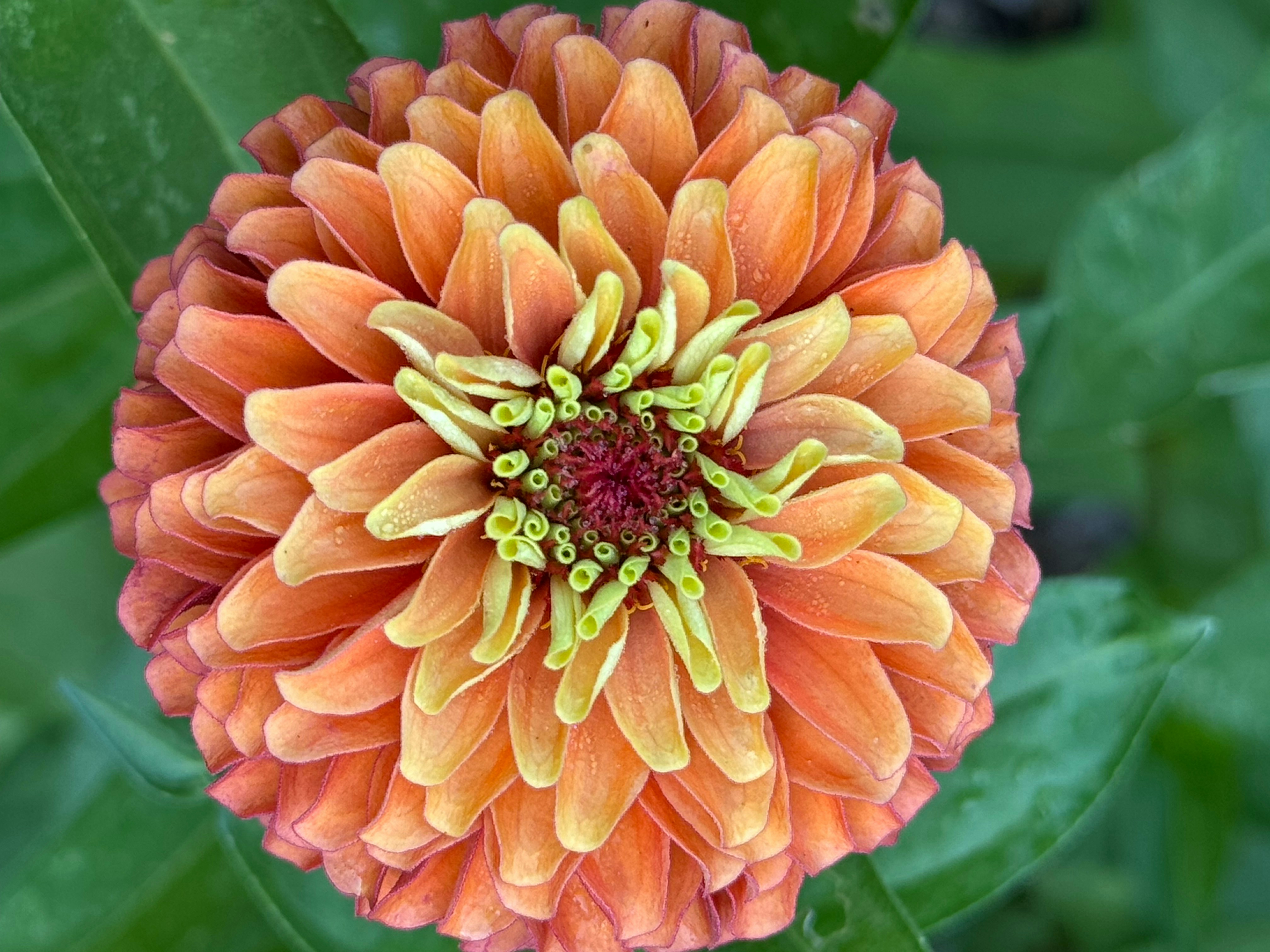 Photo by susanne_kuehne_positive_art