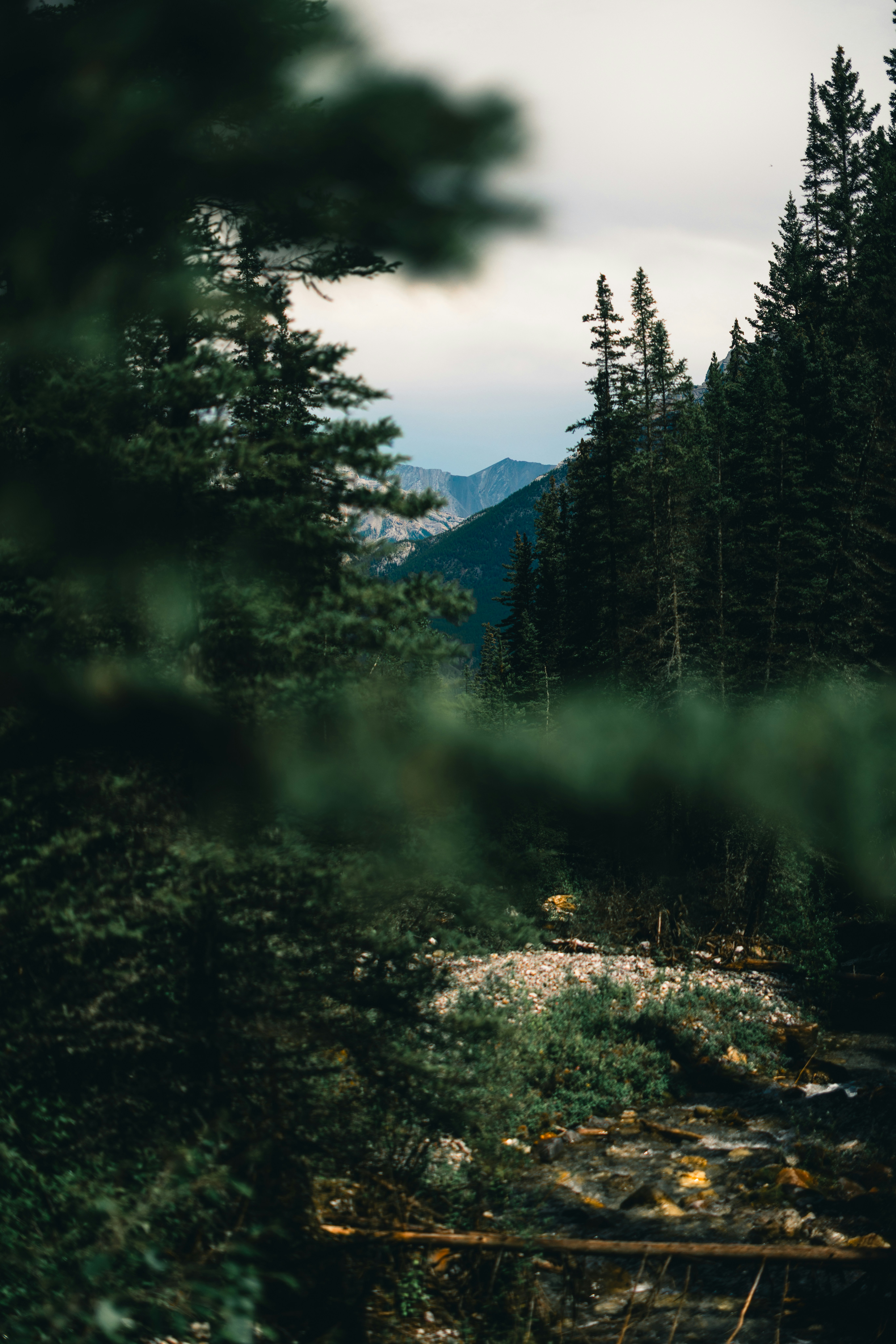 Photo by lureofadventure