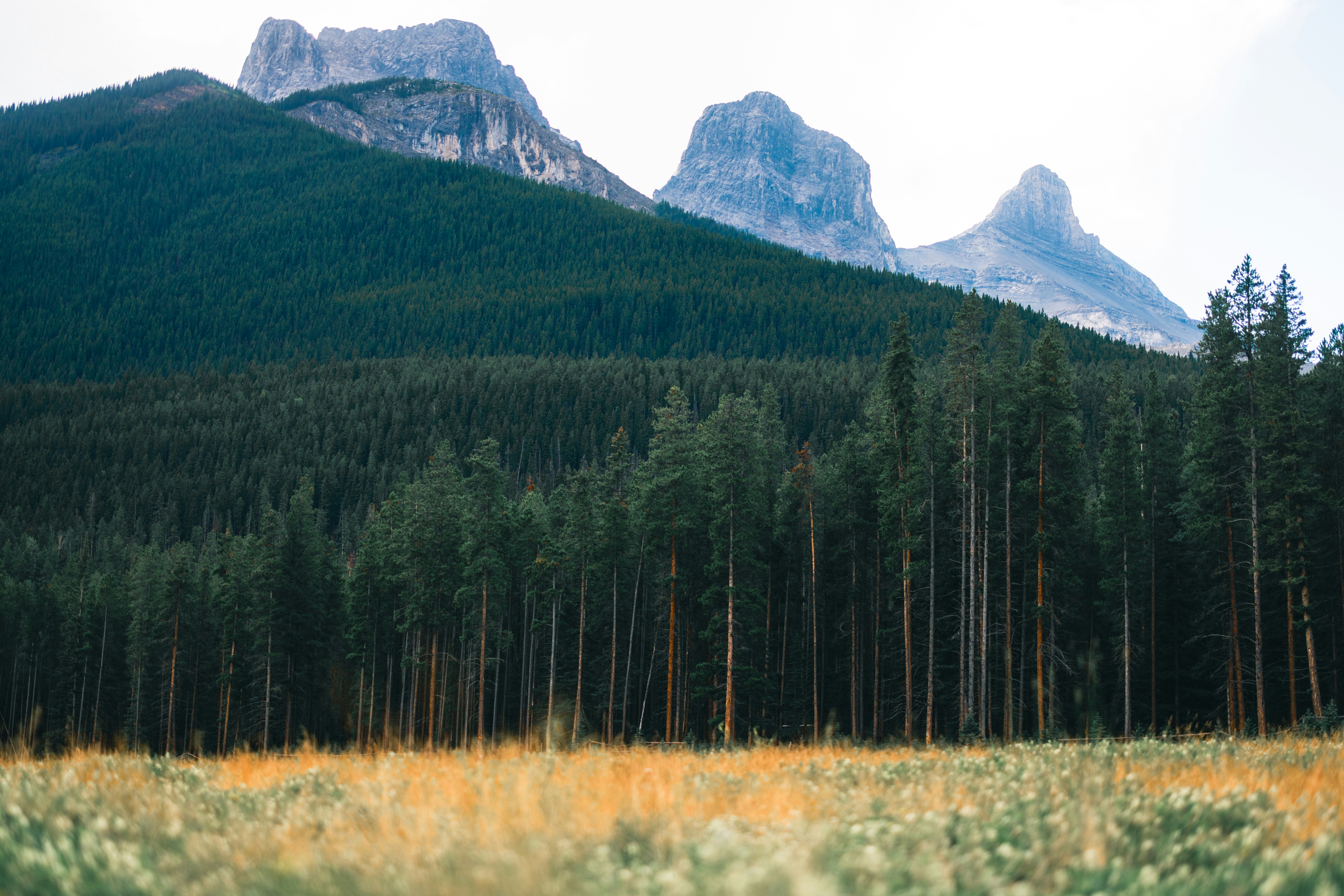 Photo by lureofadventure