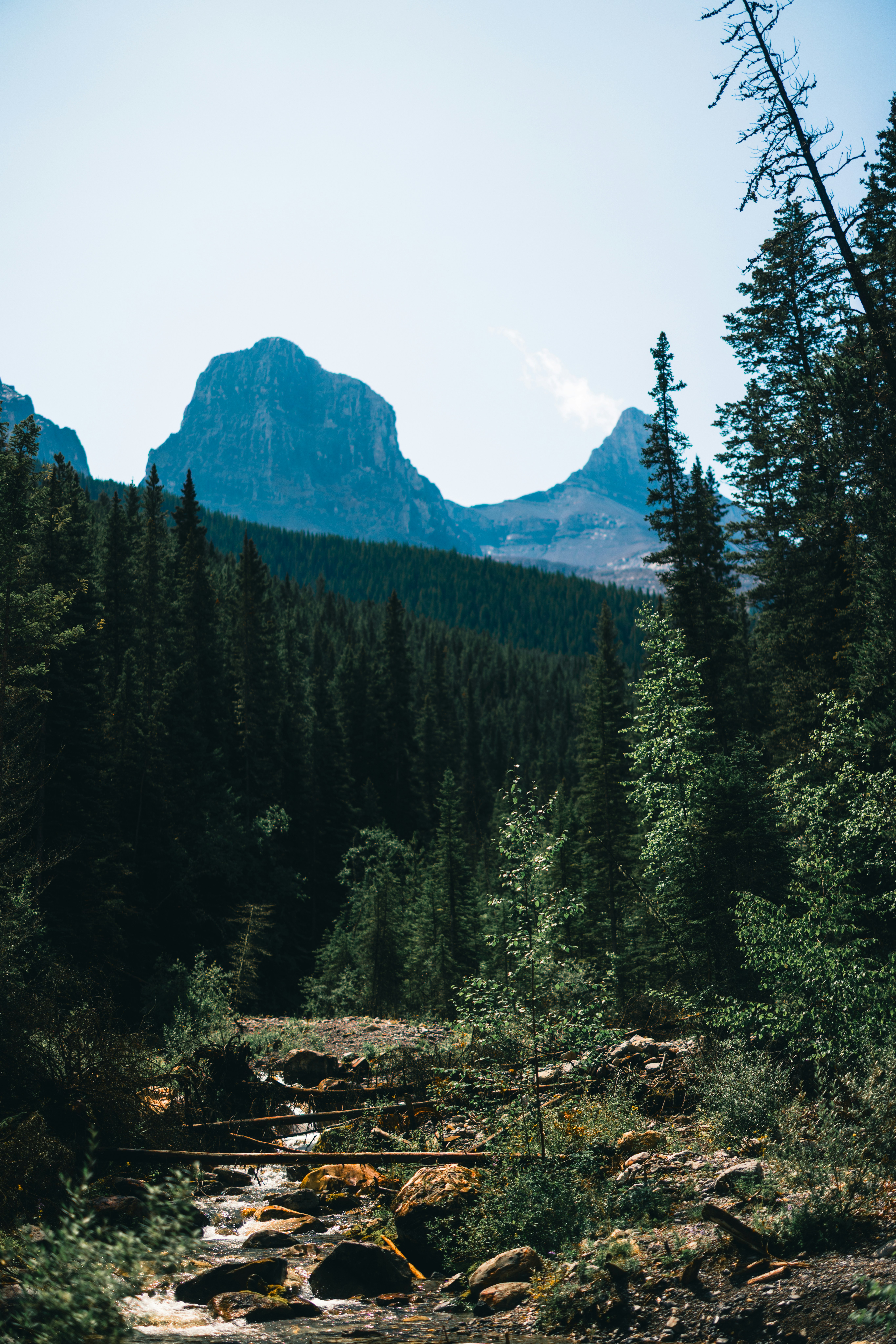 Photo by lureofadventure