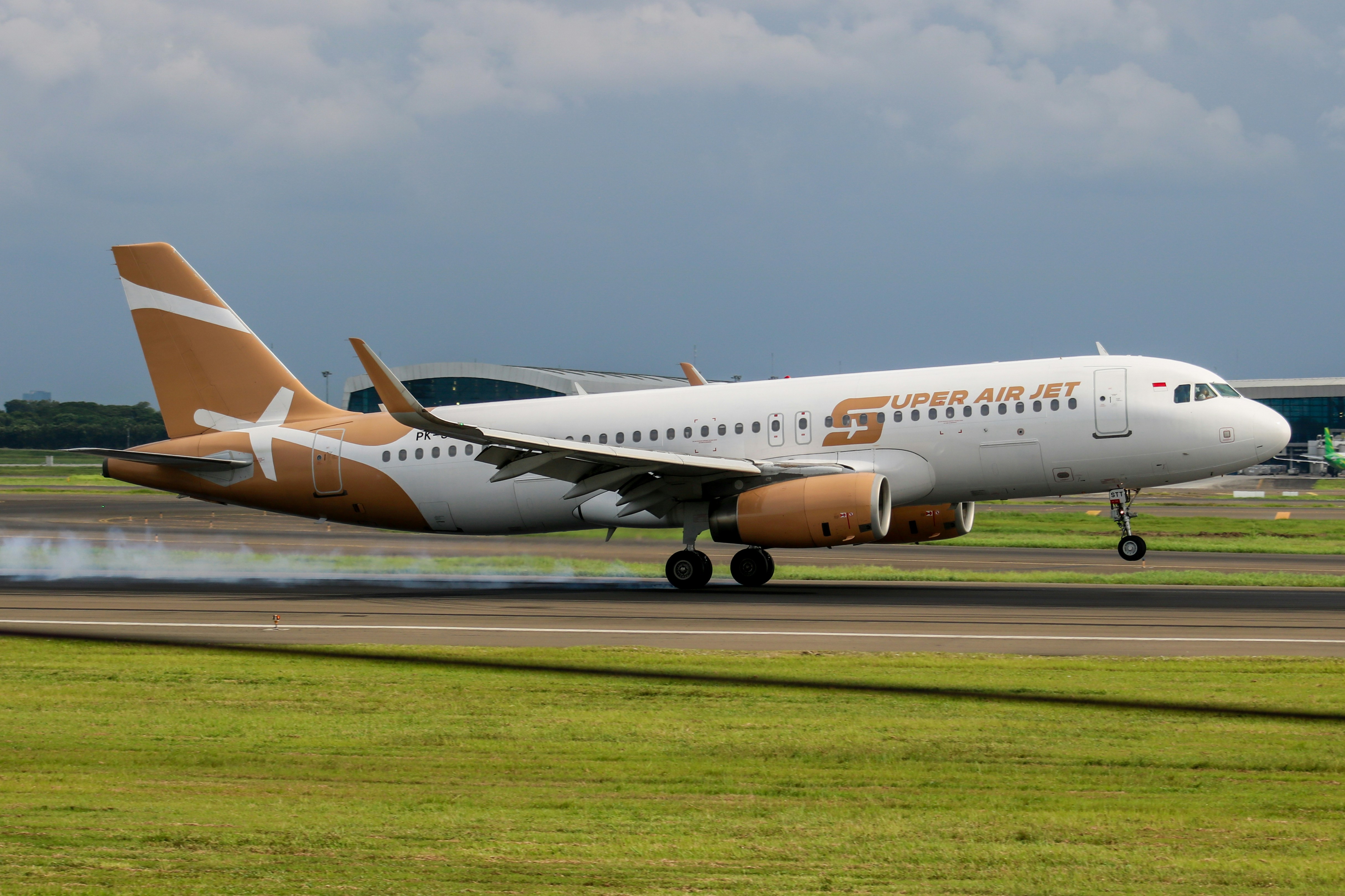A commercial airplane lands on a runway
