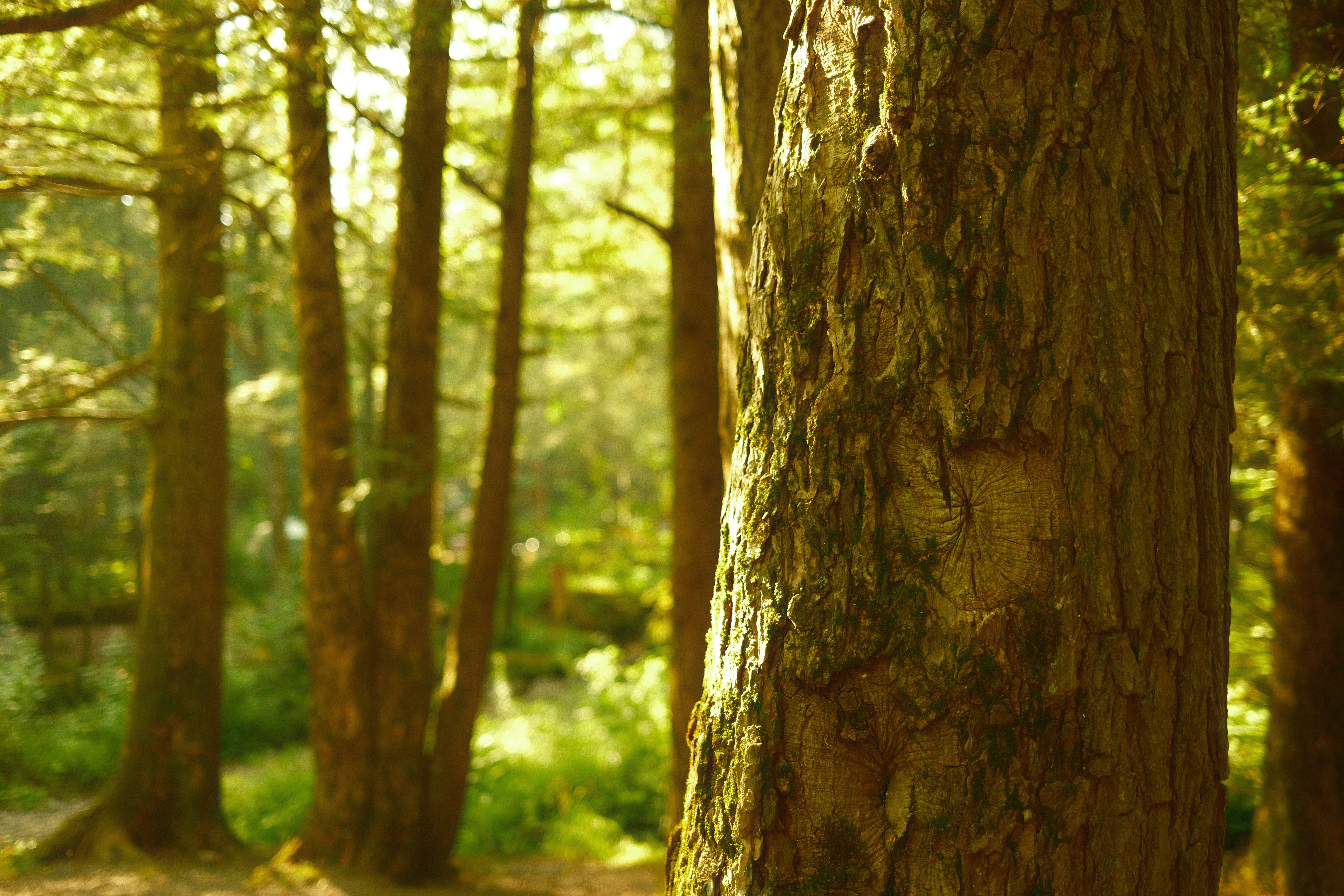 Photo by dipenpatel0810