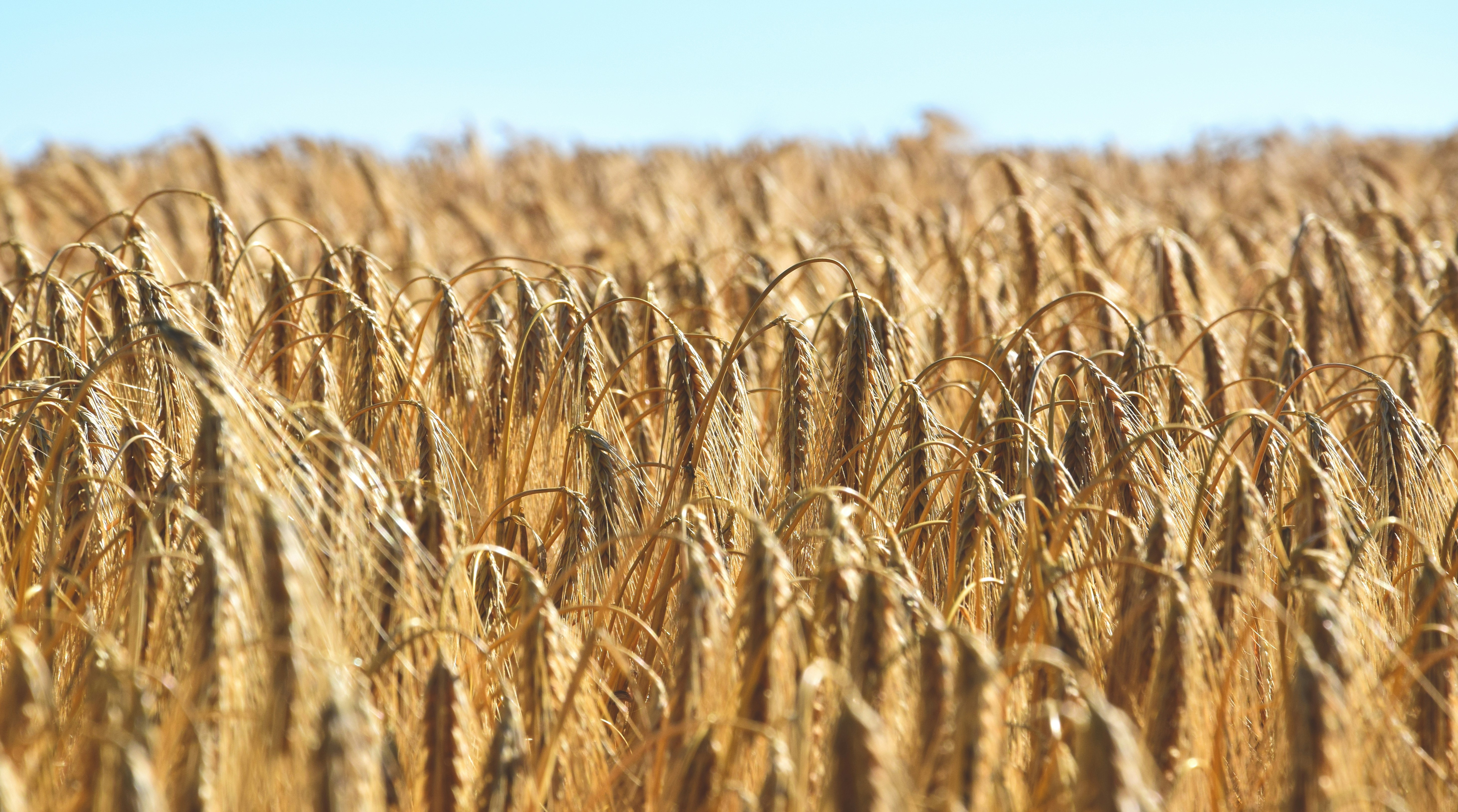 Photo by katascheder