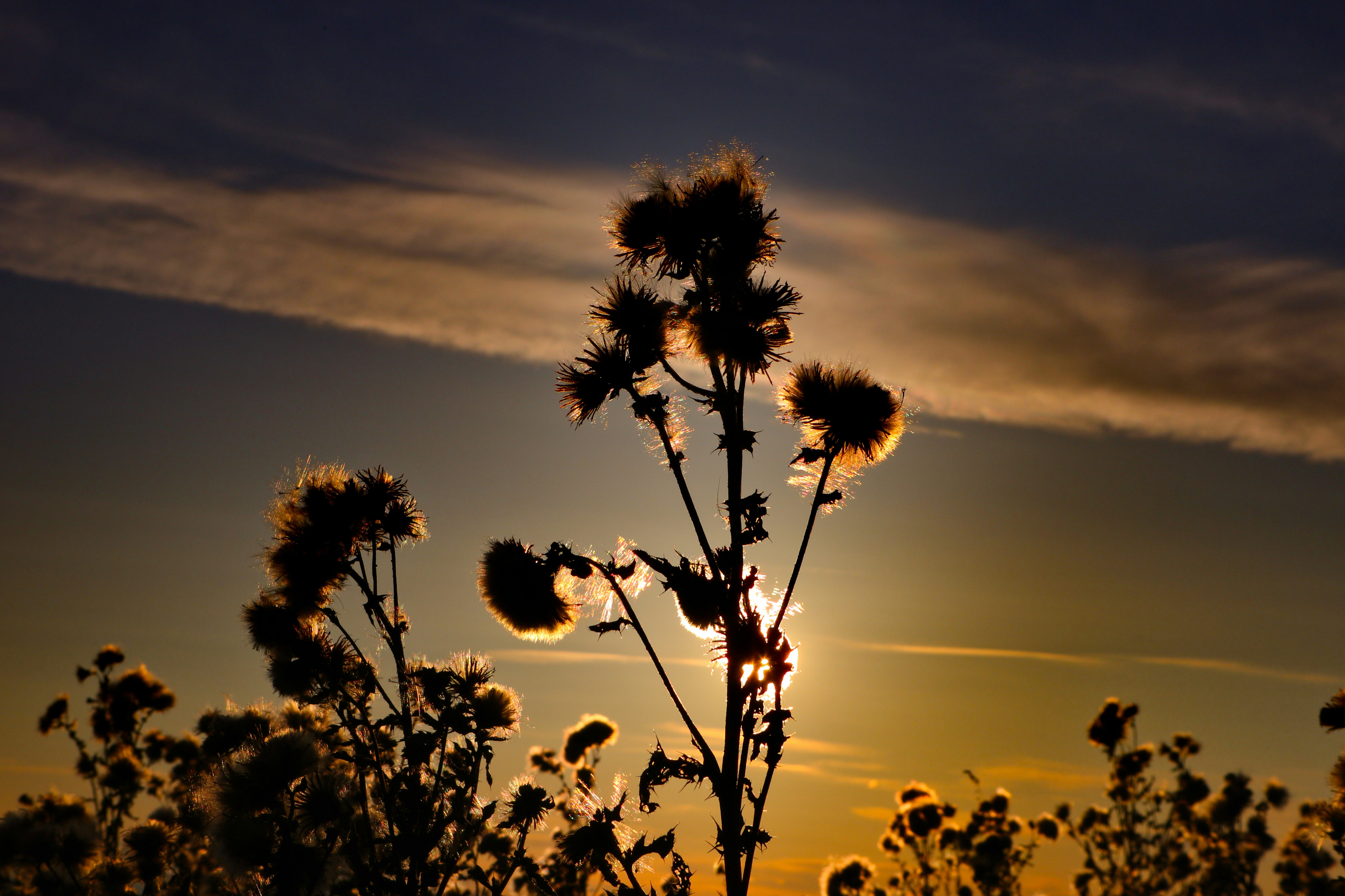 Photo by katascheder