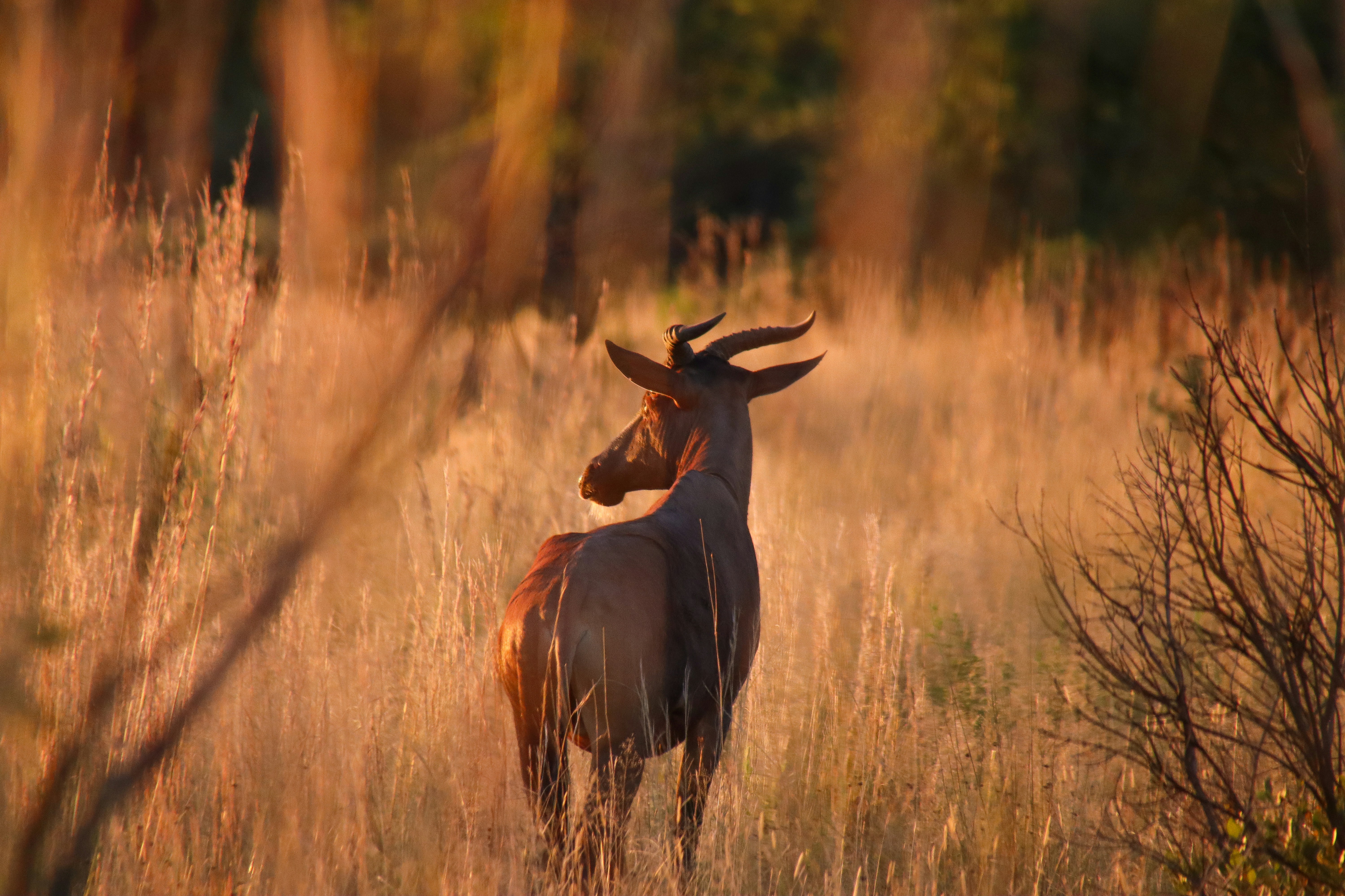 Photo by katascheder