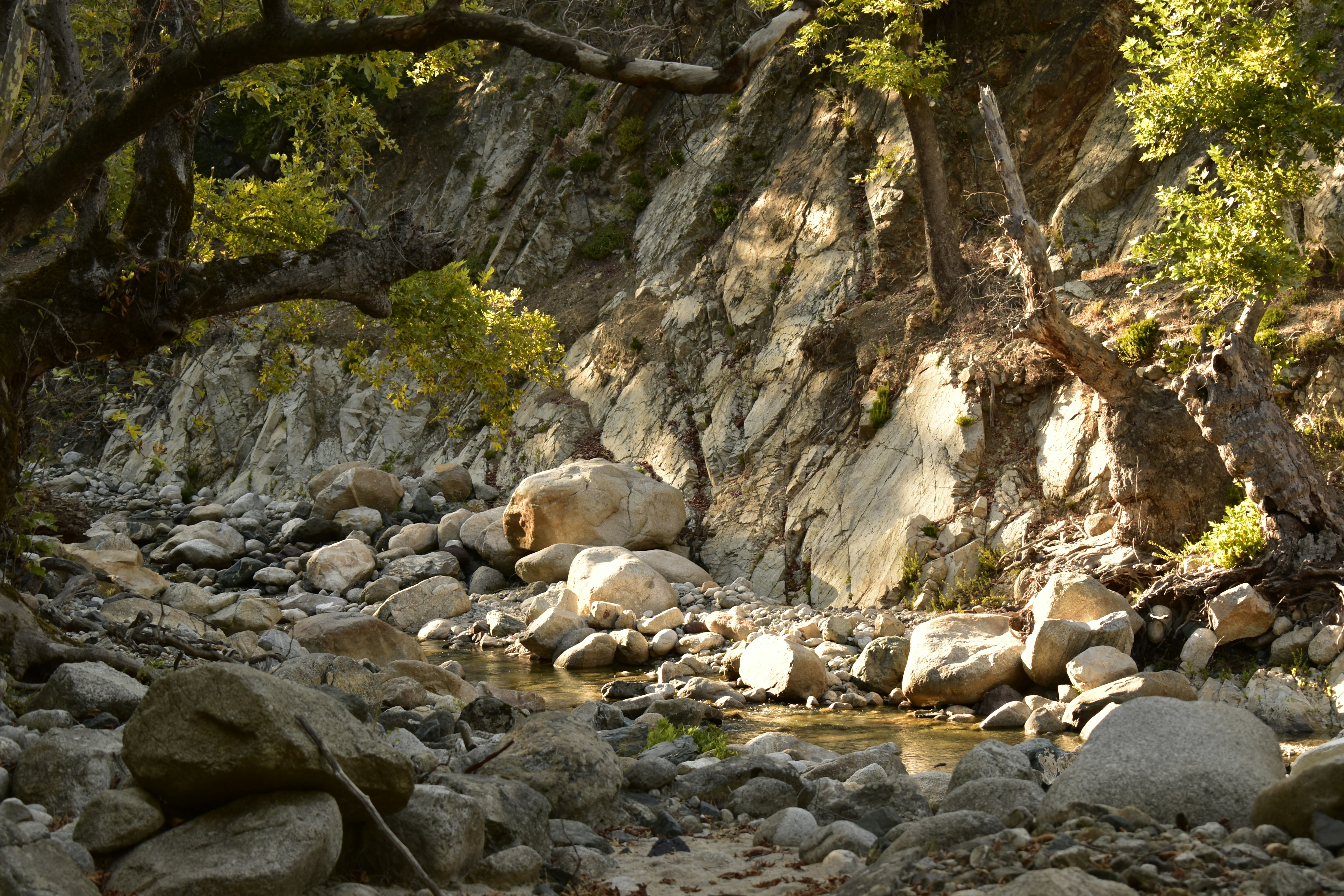 Photo by tanya_boncheva