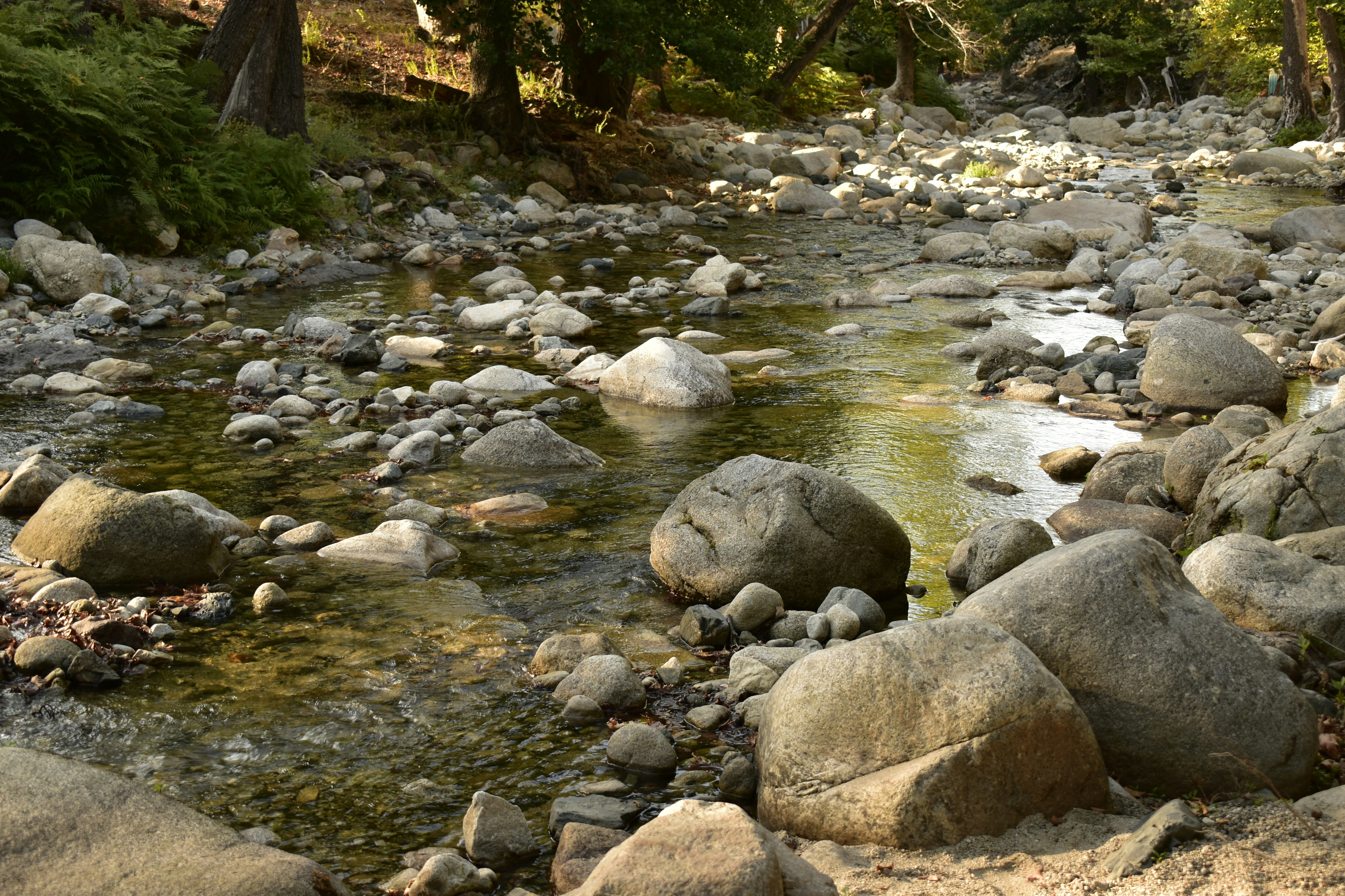 Photo by tanya_boncheva